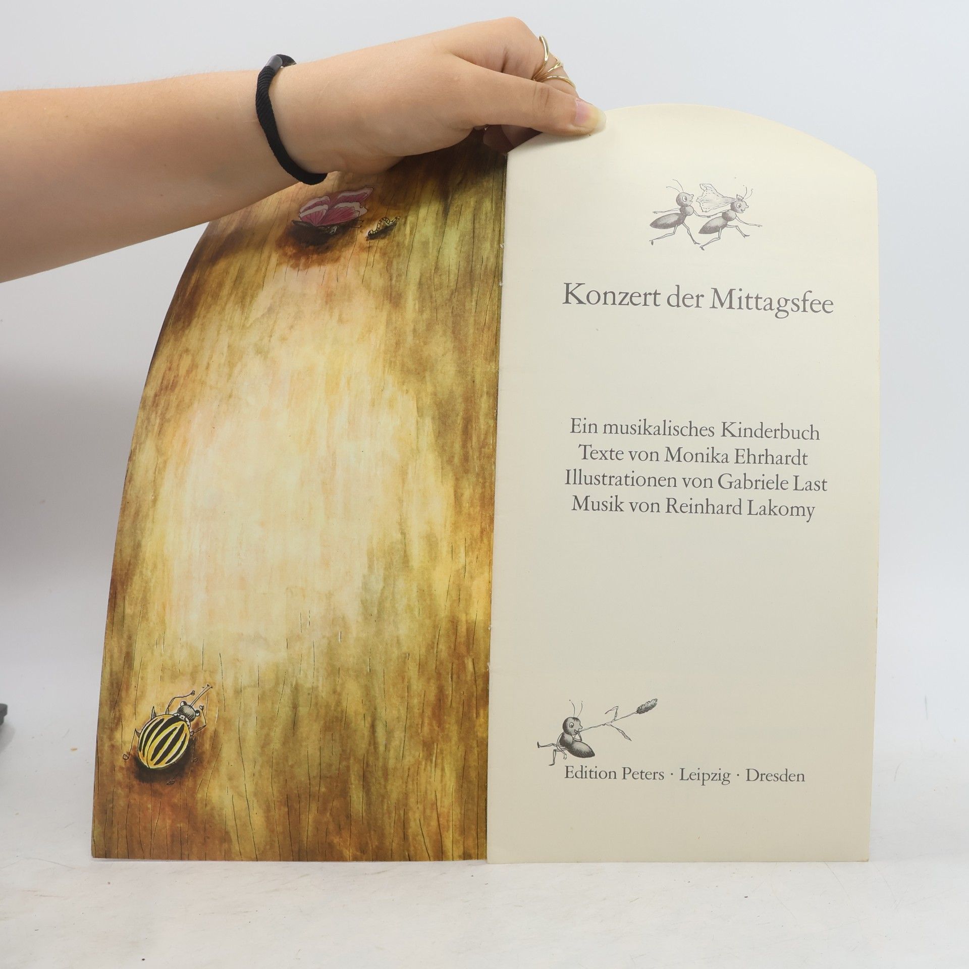 Autorenkollektiv Konzert der Mittagsfee