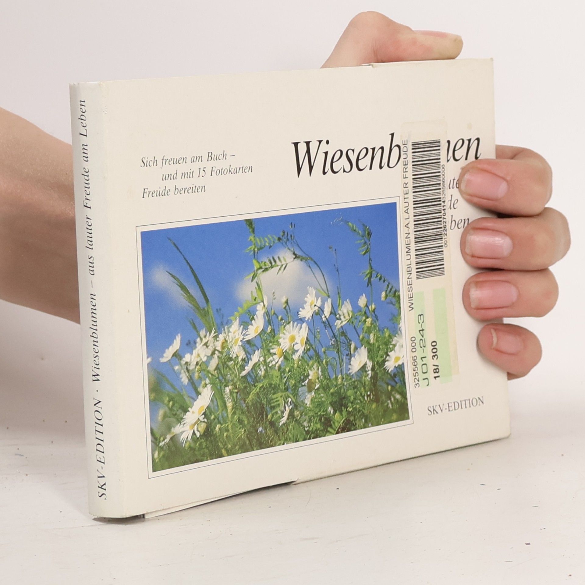 Autorenkollektiv Wiesenblumen, aus lauter Freude am Leben