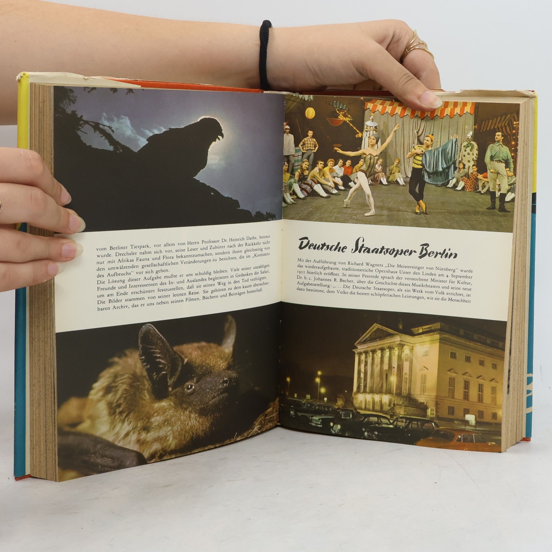 Autorenkollektiv Urania Universum 9