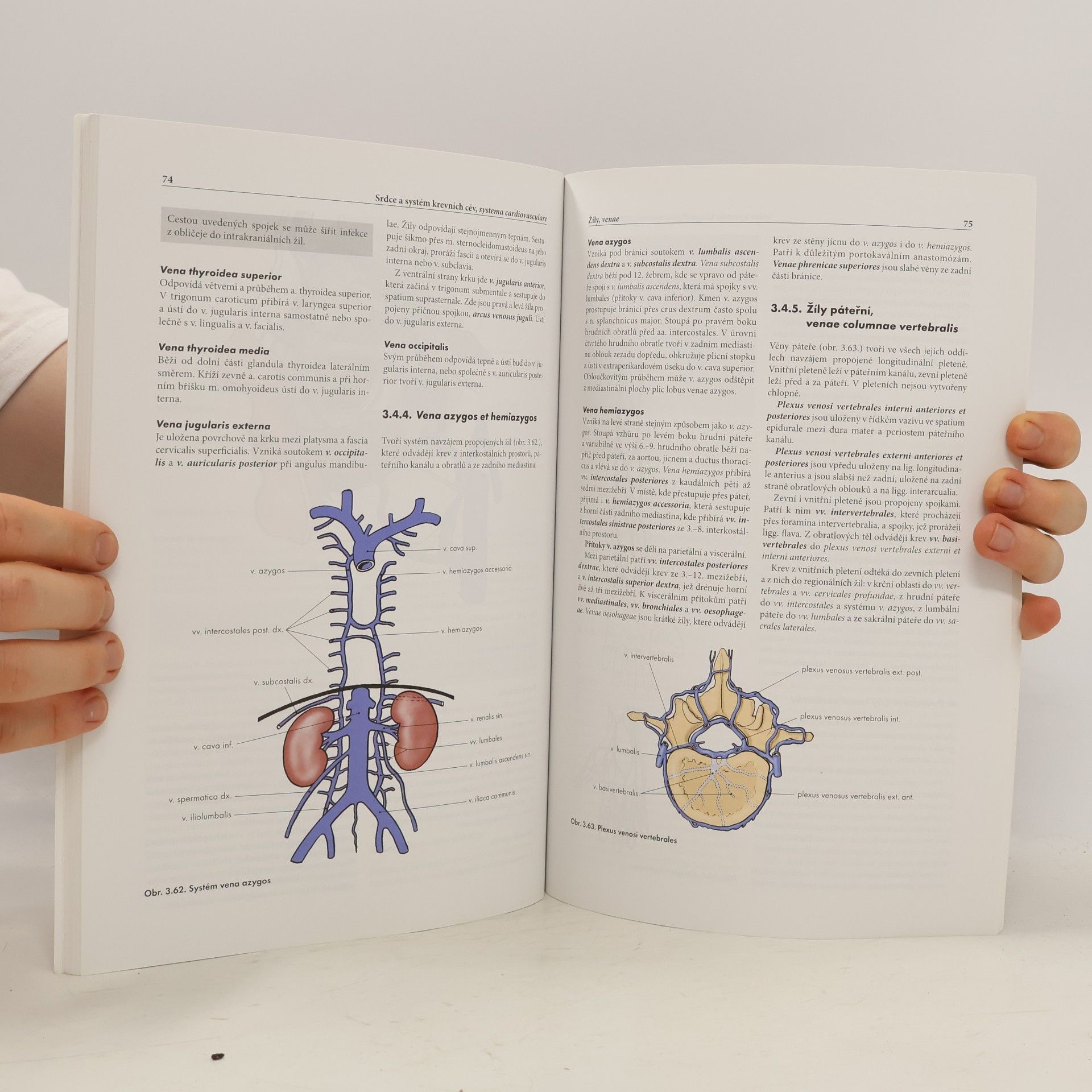 Miloš Grim Základy anatomie. 2., Kardiovaskulární a lymfatický systém