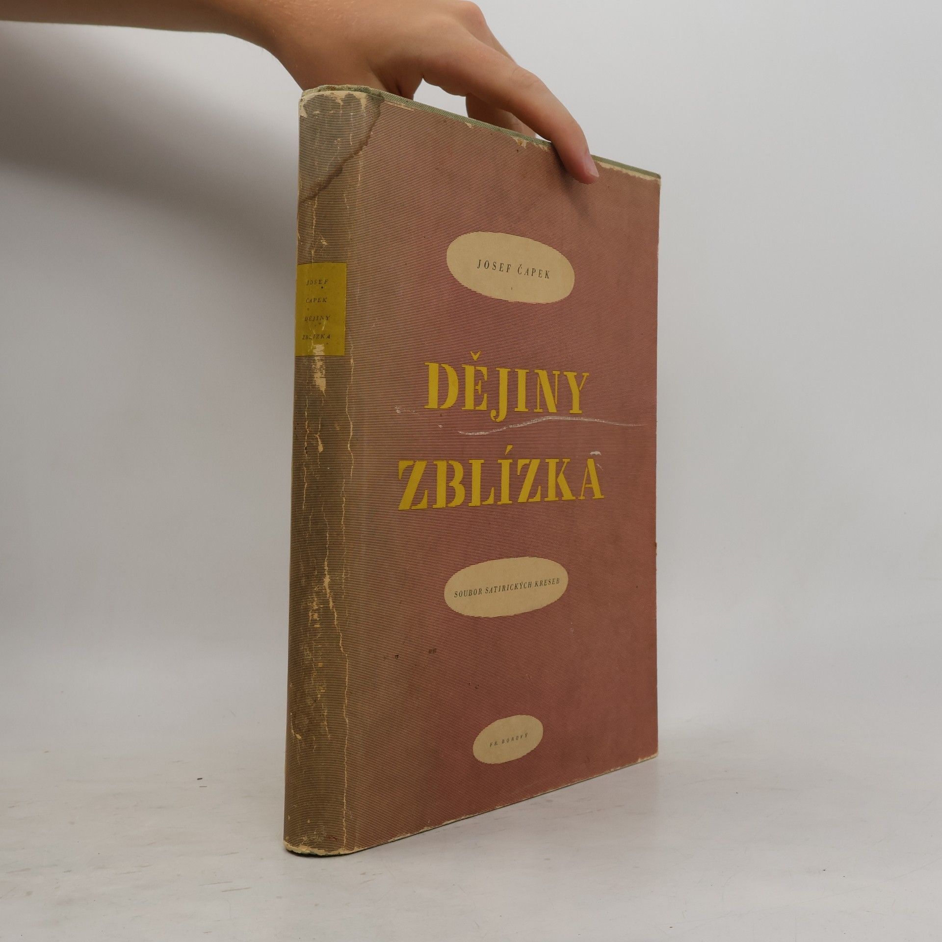 Josef Čapek Dějiny zblízka