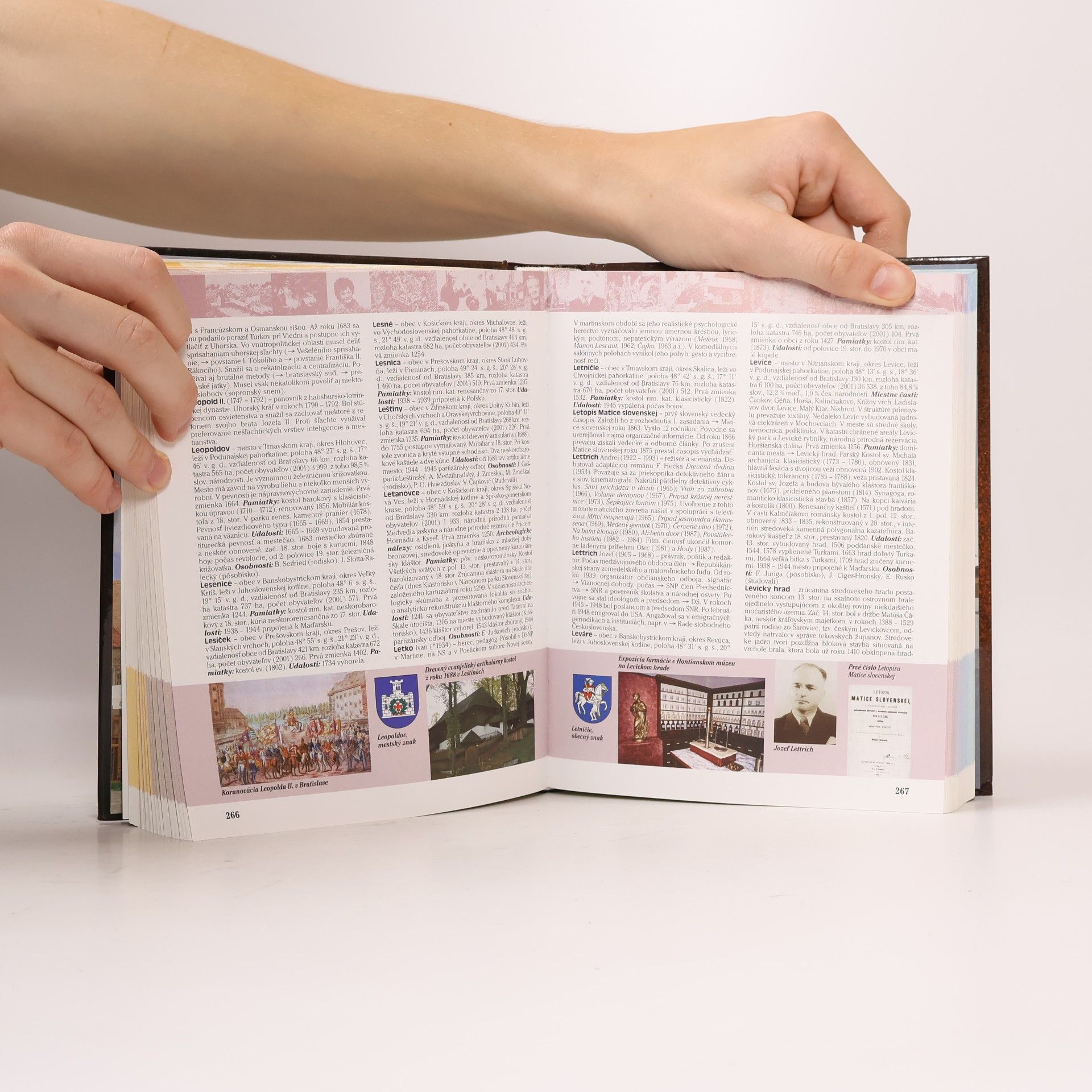 Autorenkollektiv Ottova praktická encyklopédia Slovensko