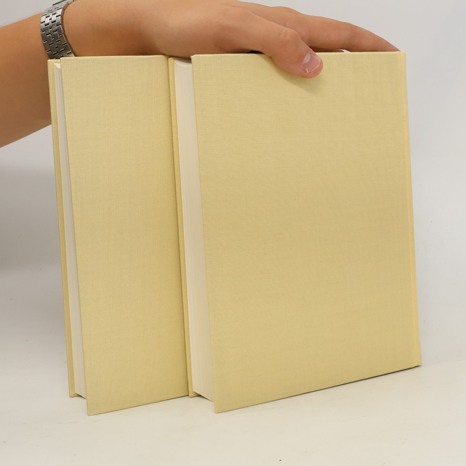 Silvia Petrin Geschichte des Marktes Perchtoldsdorf 1-2
