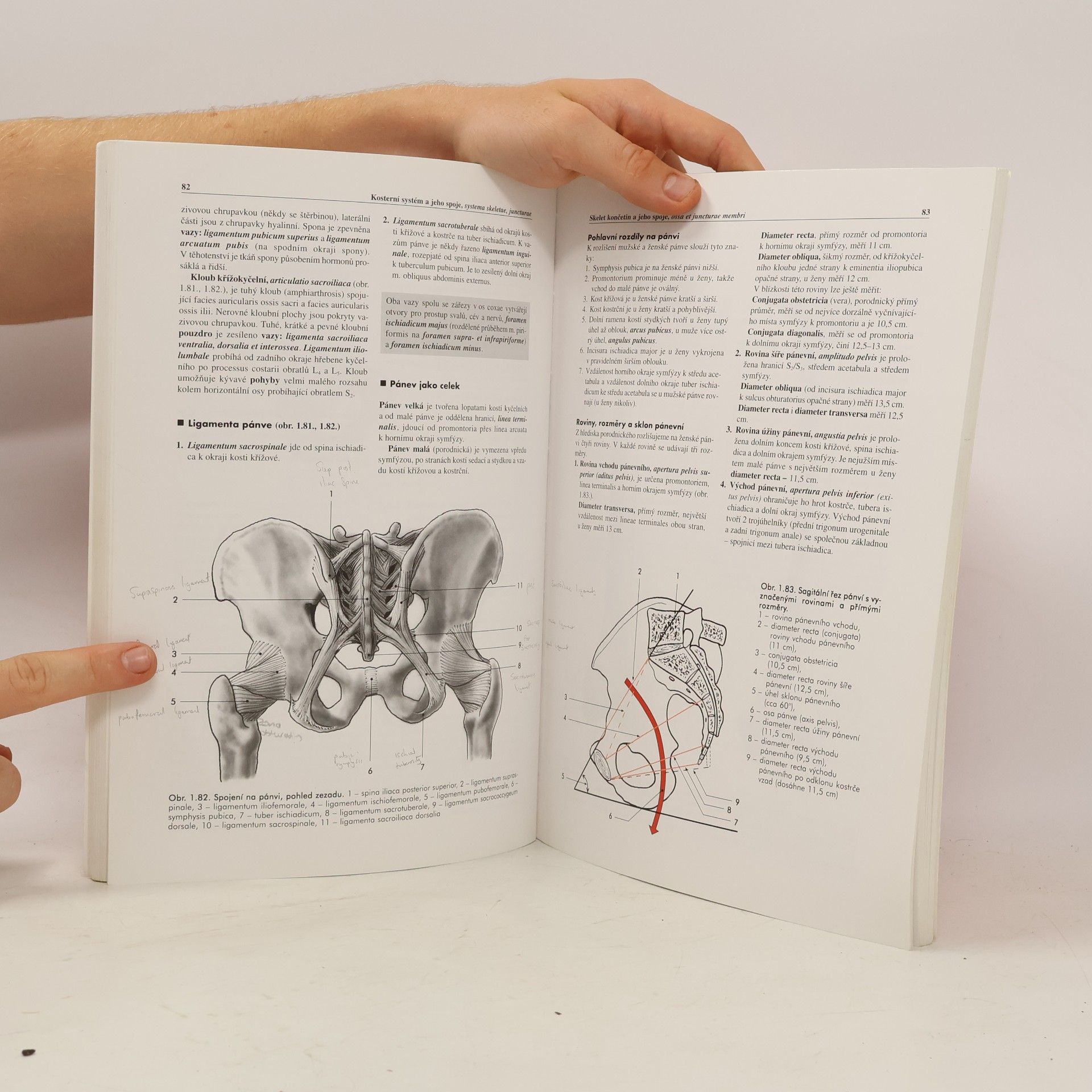 Miloš Grim Základy anatomie 1. Obecná anatomie a pohybový systém