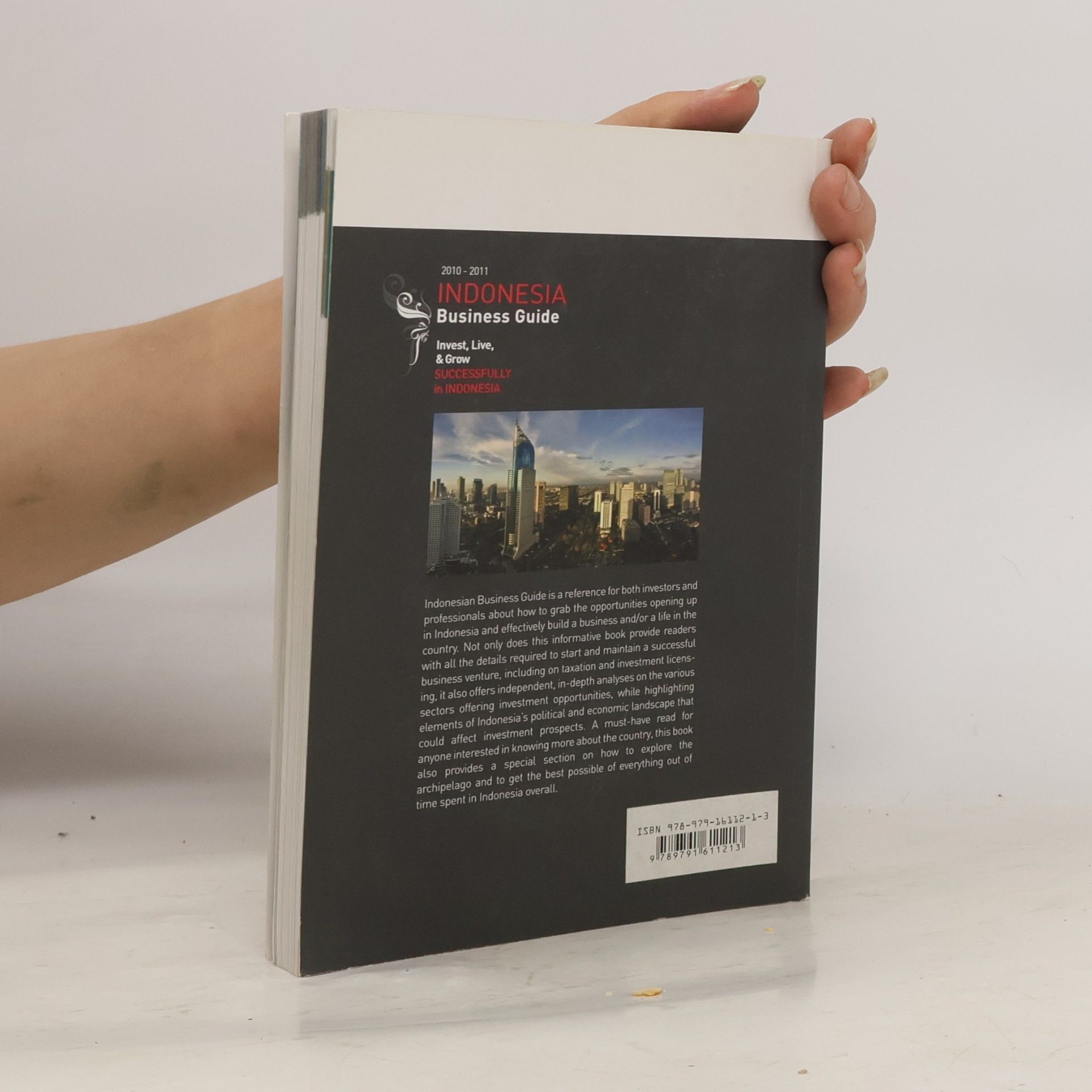Autorenkollektiv Indonesia Business Guide