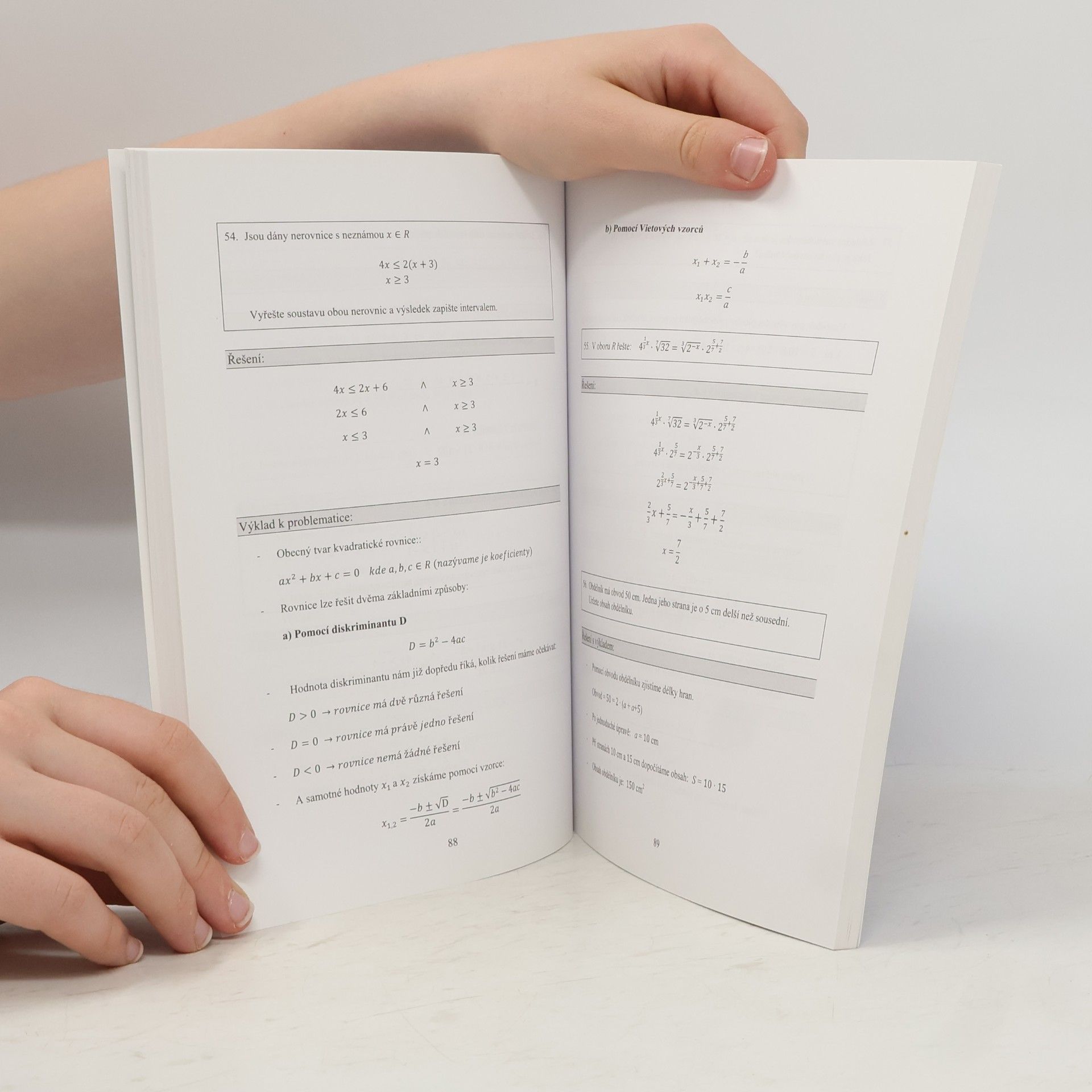 Autorenkollektiv Tvoje státní maturita 2013 - Matematika