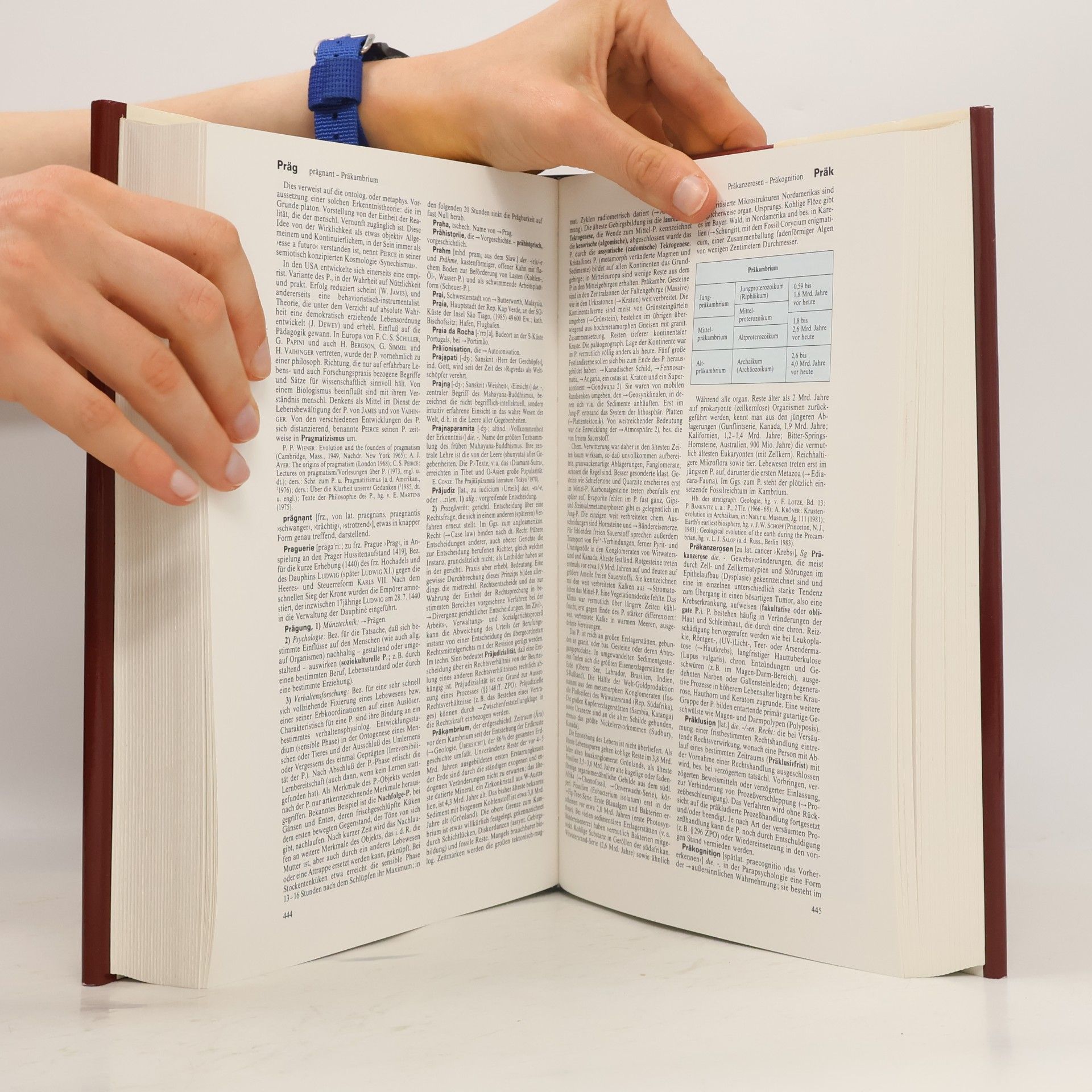 Autorenkollektiv Brockhaus enyzklopadie 17. PES-RAC