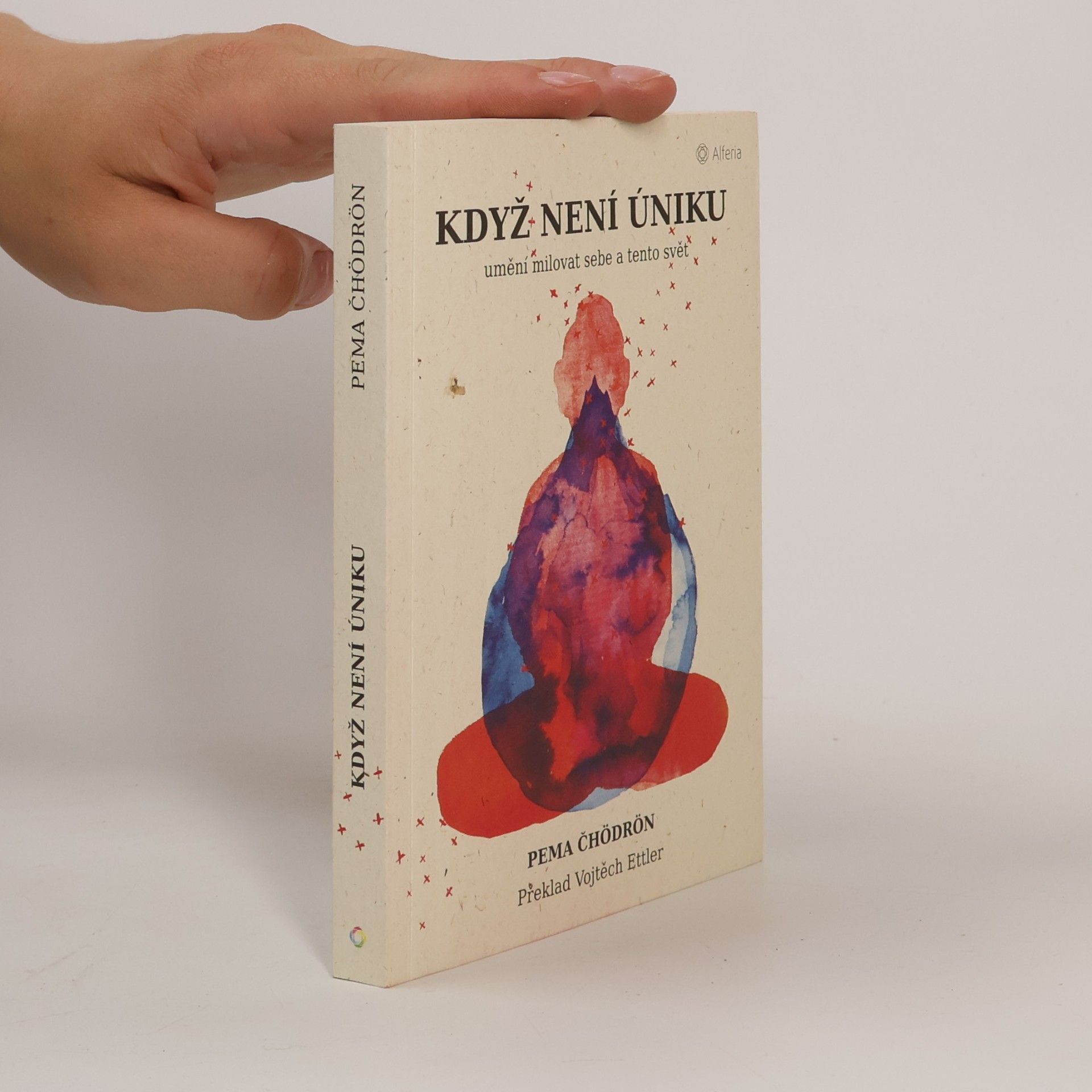 Pema Chödrön Když není úniku: Umění milovat sebe a tento svět
