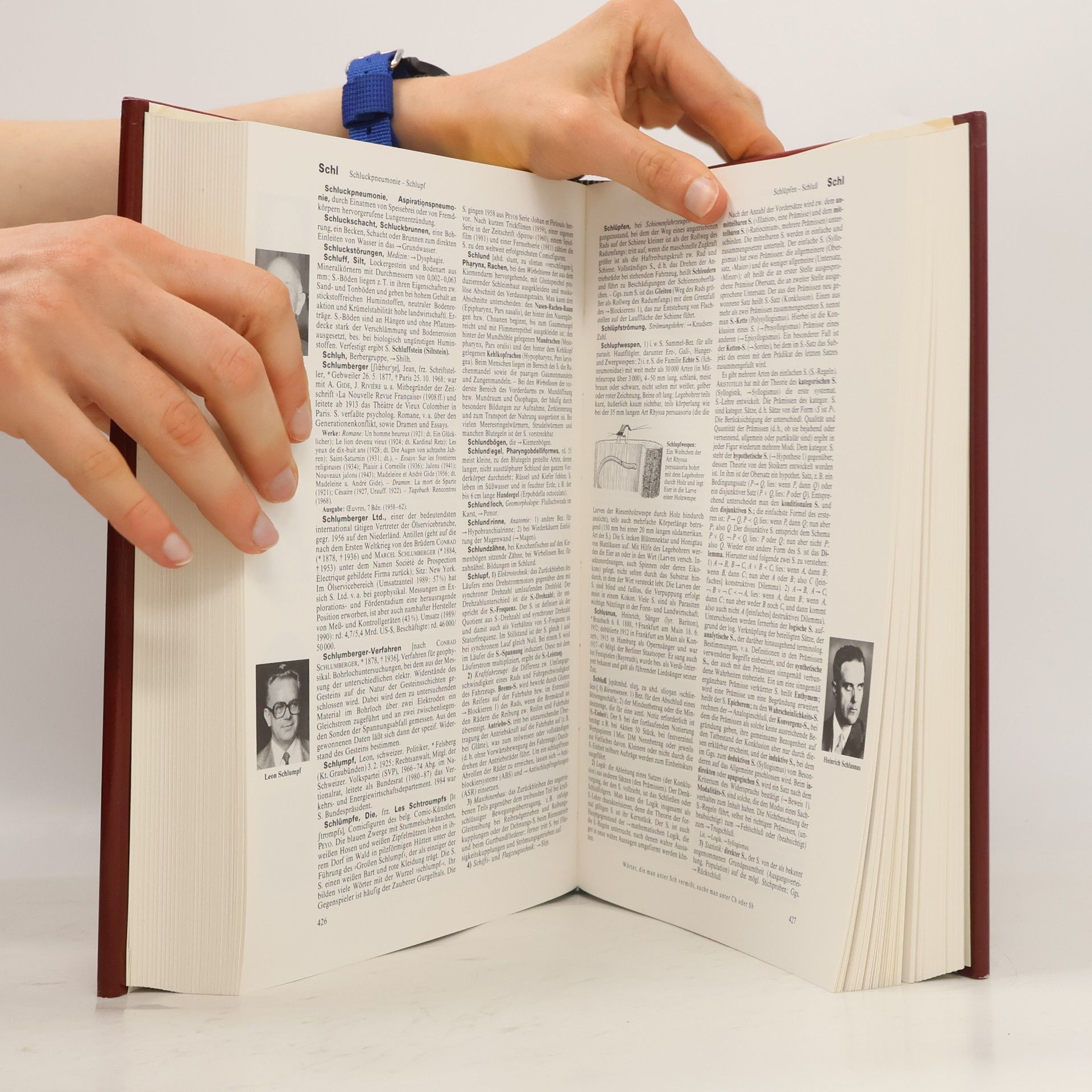 Various authors Brockhaus Enzyklopädie 19. RUT-SCH