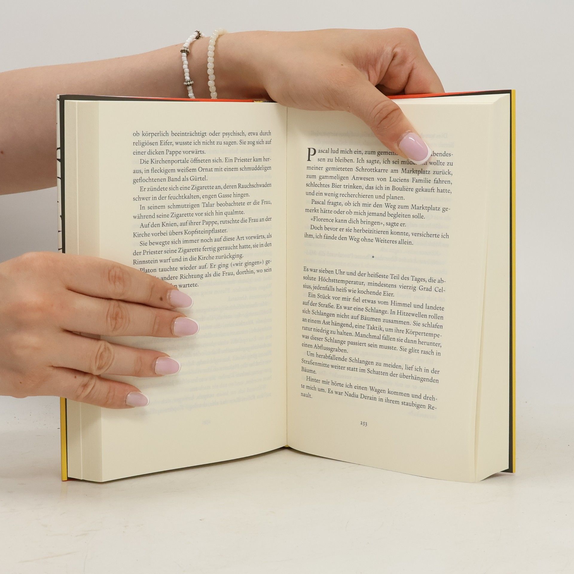 Rachel Kushner See der Schöpfung