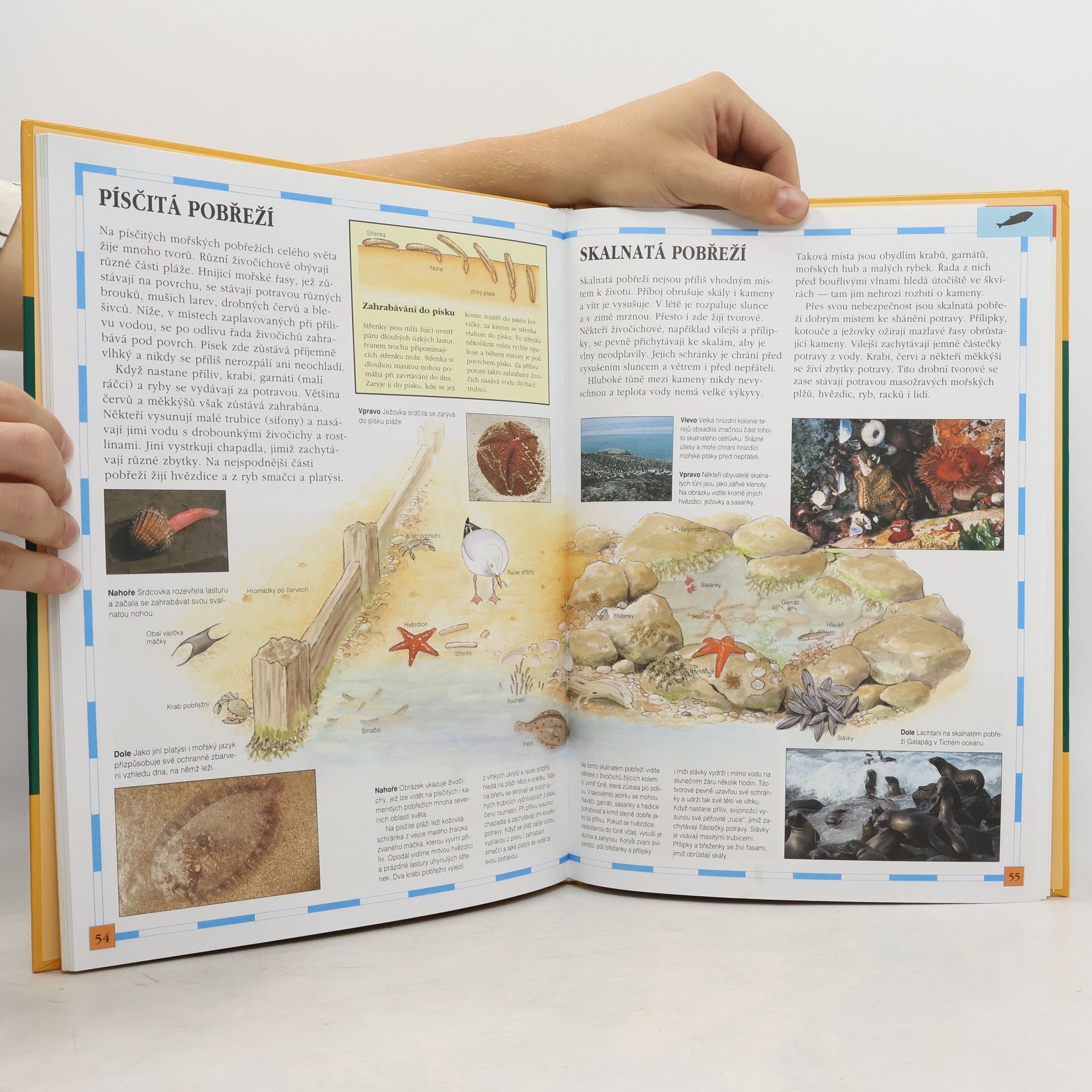 David Lambert Dětský atlas zvířat: Vysvětluje, kde zvířata žijí, jak se vyvíjela a proč tolika z nich hrozí vyhynutí