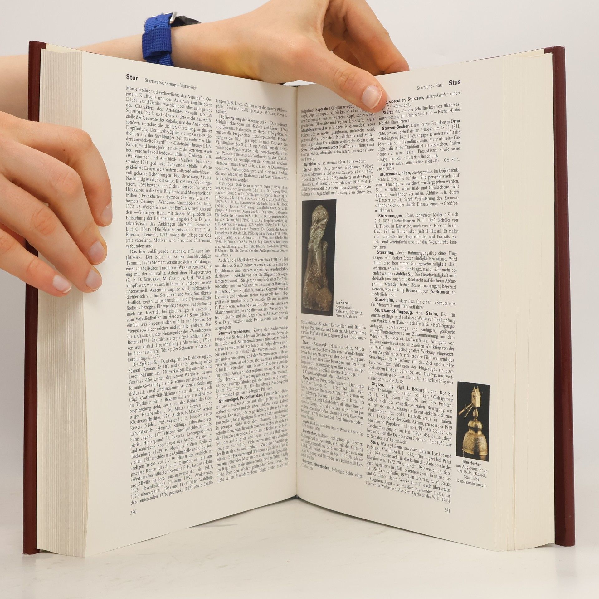 Autorenkollektiv Brockhaus Enzyklopädie 21 (Sr-Teo)