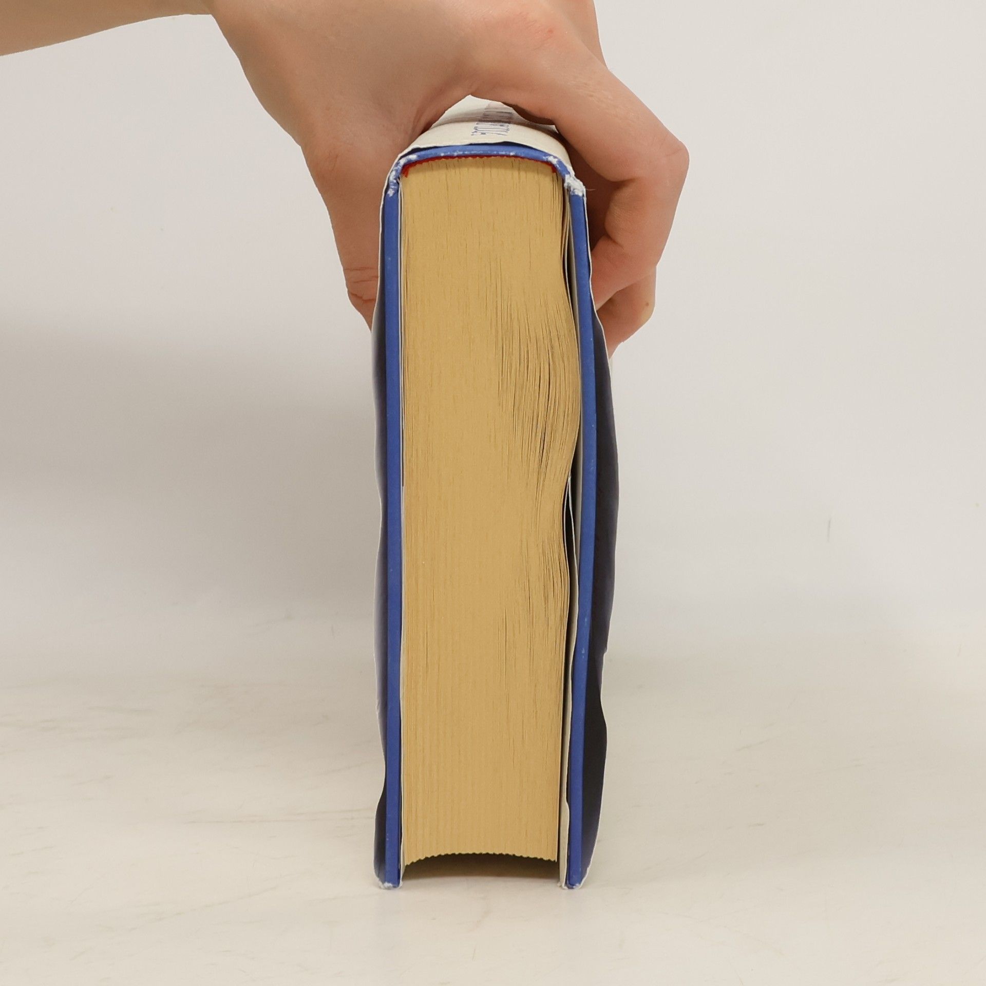 Nina Stibbe Muž u kormidla