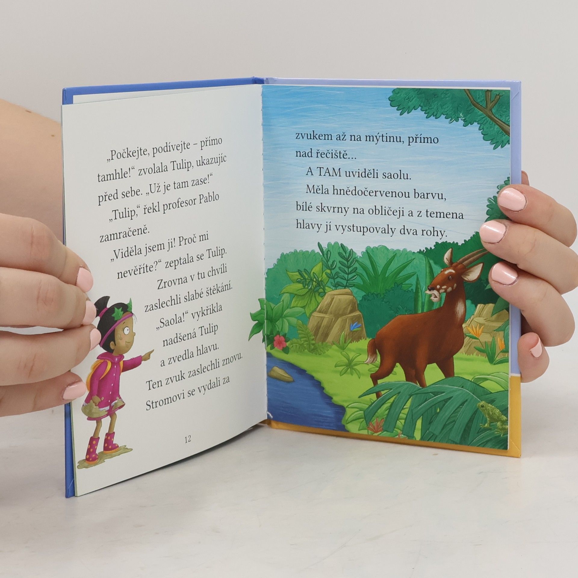 Cressida Cowell Stromovic dvojčata a jejich dobrodružství v divočině. Dvojčata hledají saolu