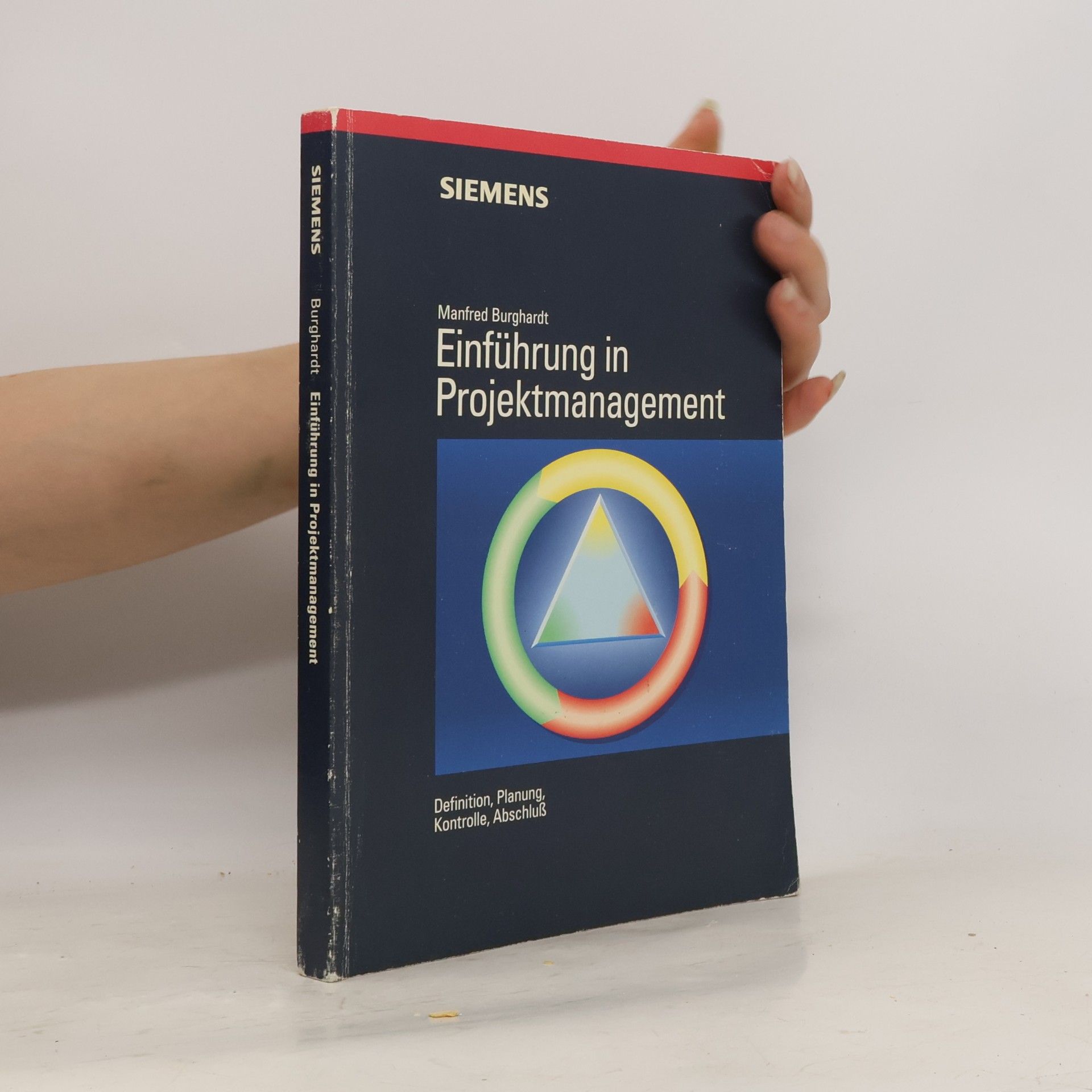 Manfred Burghardt IV Einführung in Projektmanagement