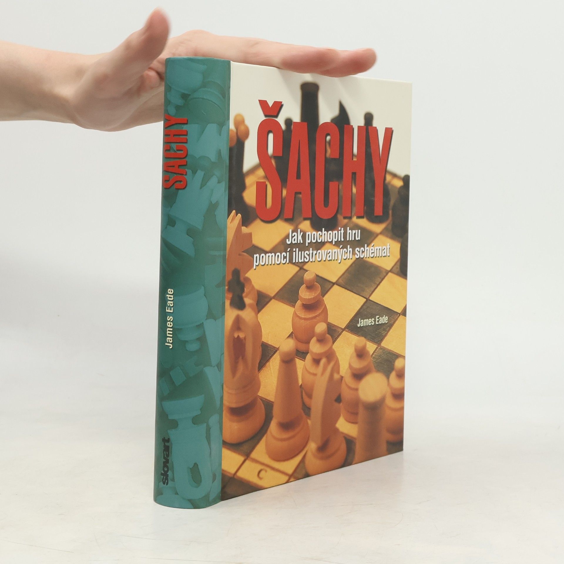 Šachy : jak pochopit hru pomocí ilustrovaných schémat