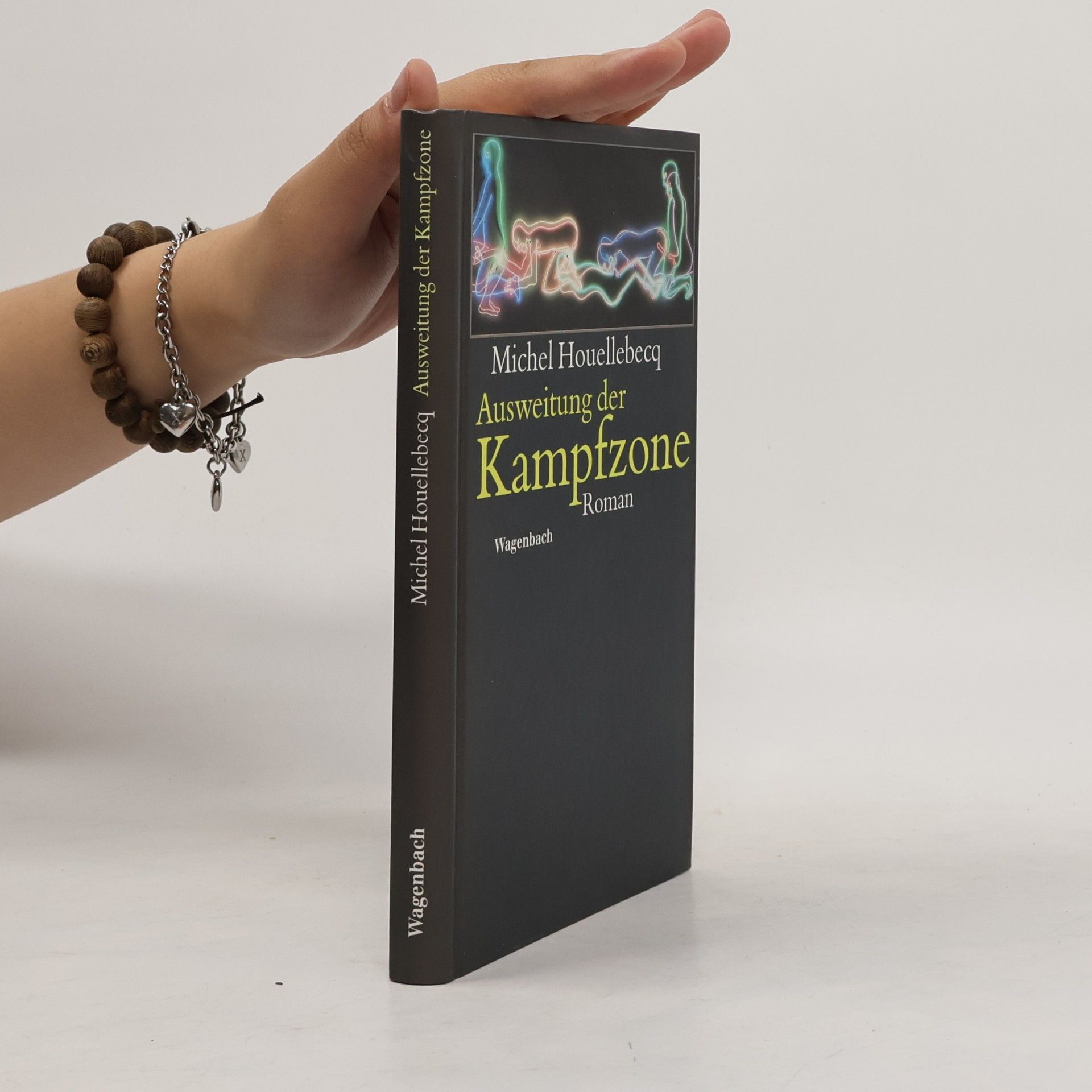 Michel Houellebecq Ausweitung der Kampfzone
