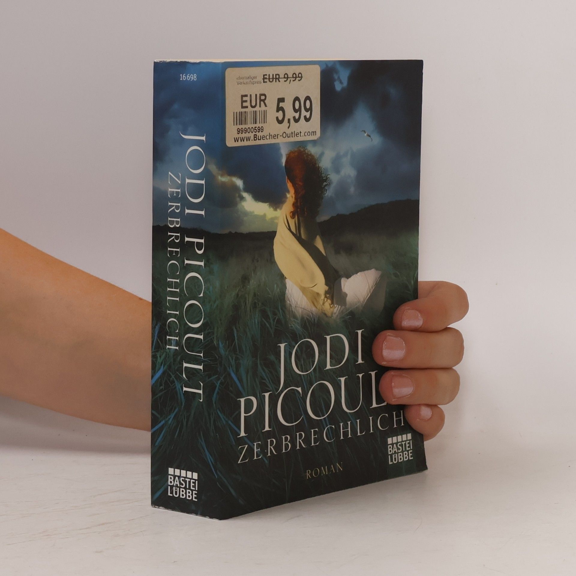 Jodi Picoult Zerbrechlich