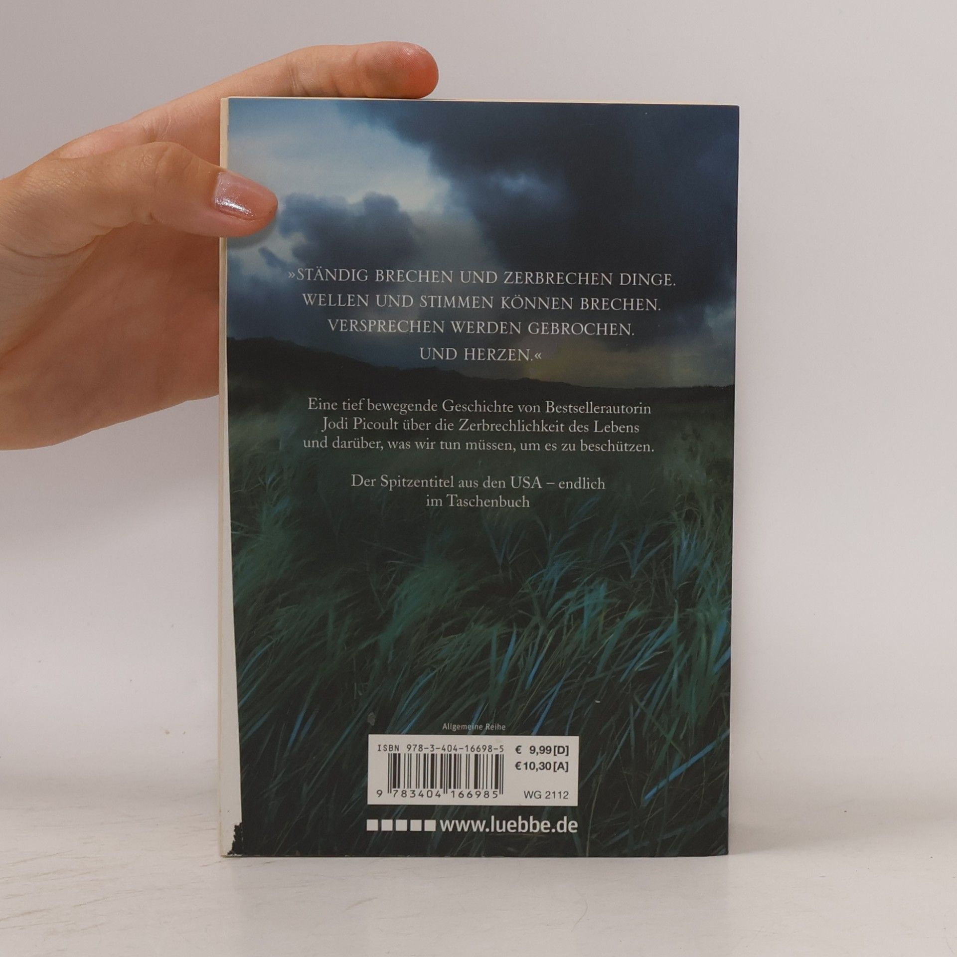 Jodi Picoult Zerbrechlich