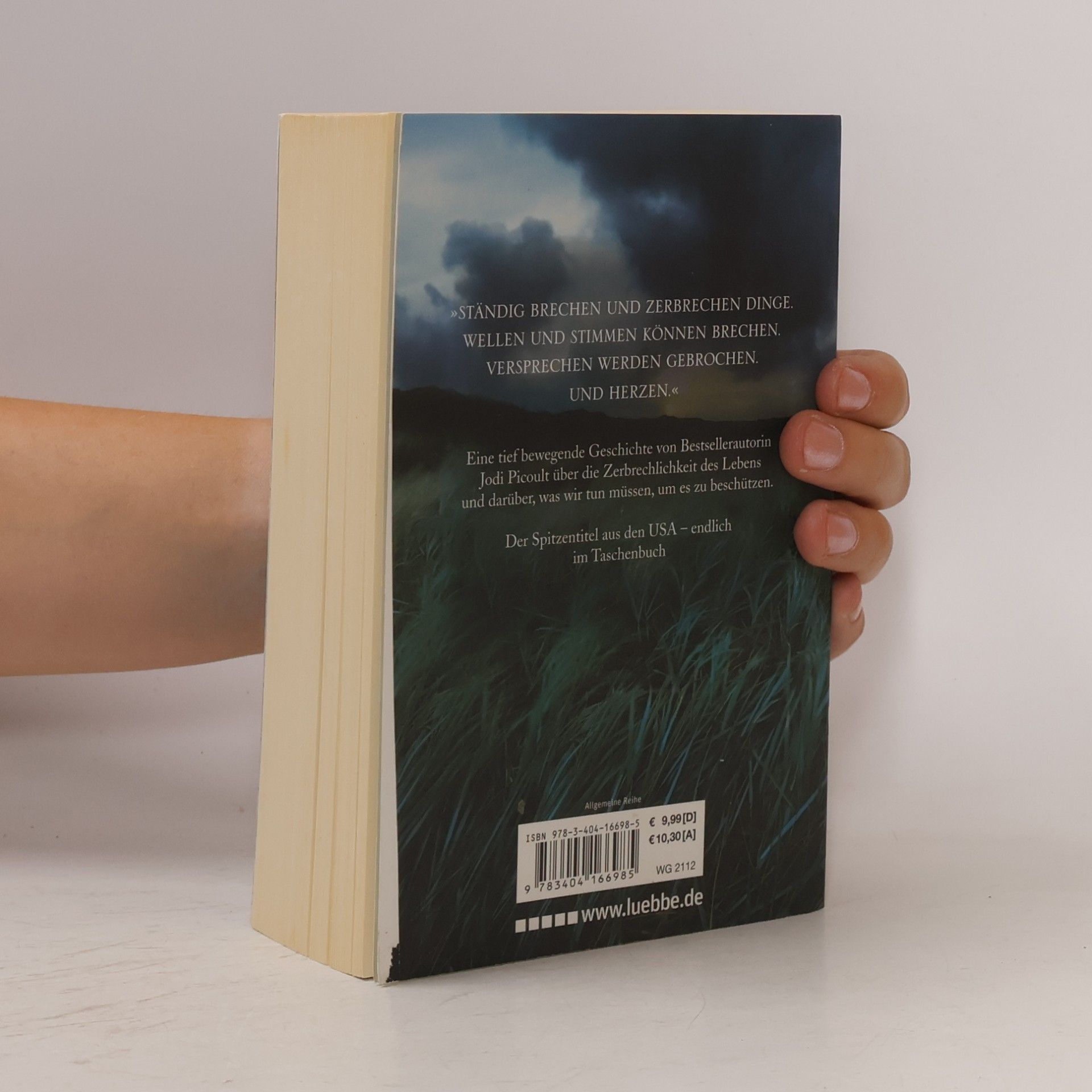 Jodi Picoult Zerbrechlich