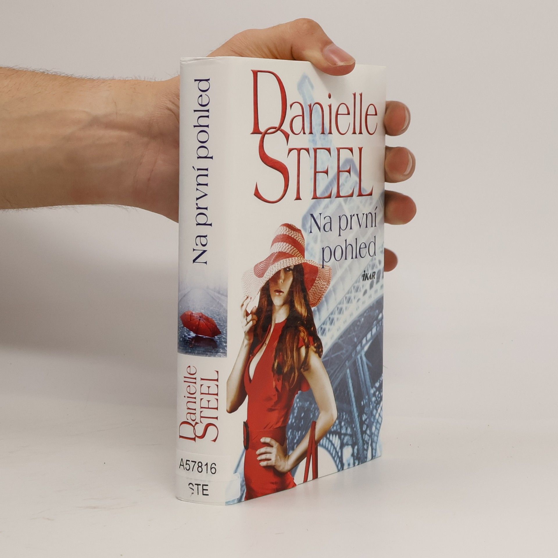Danielle Steel Na první pohled