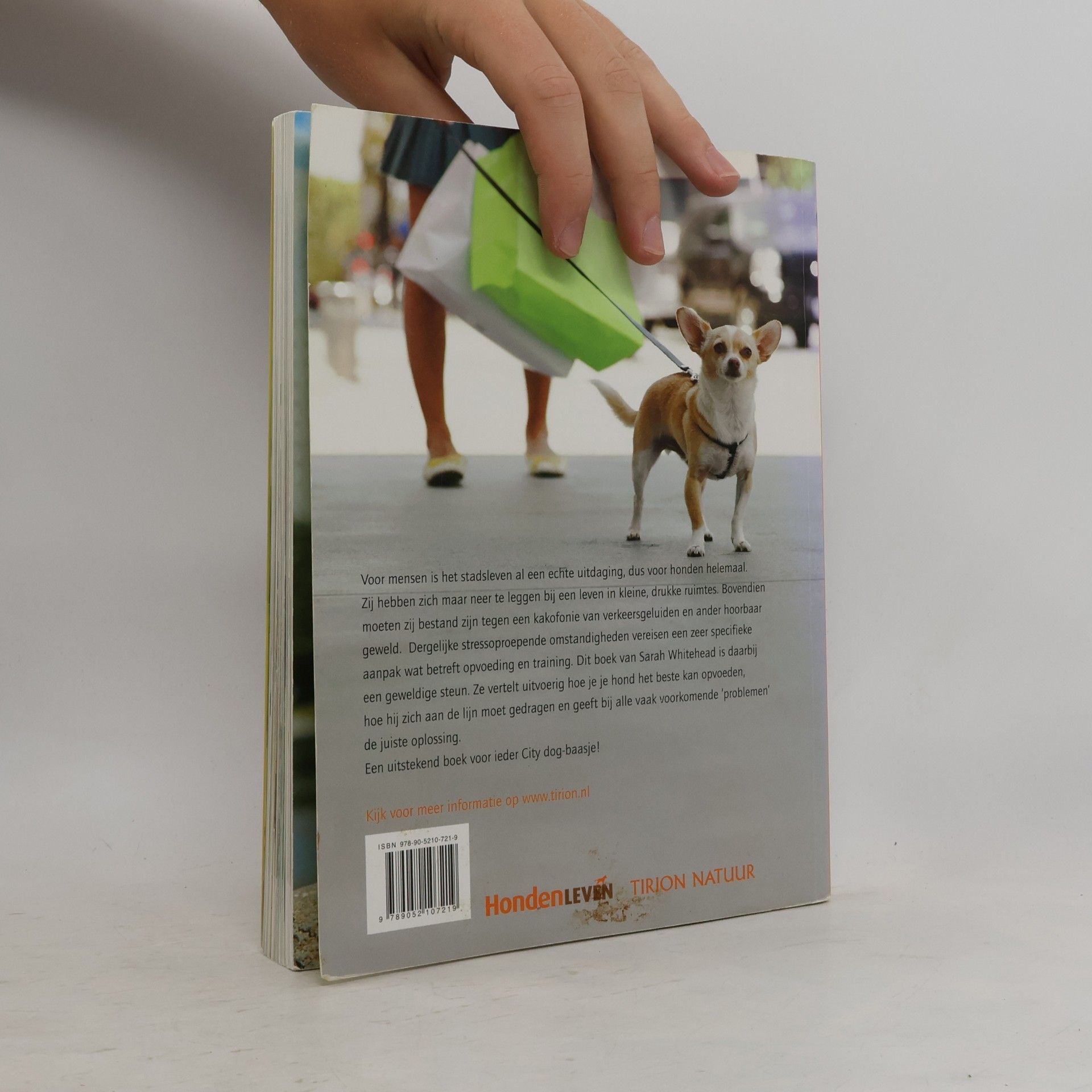 Sarah Whitehead City dog
