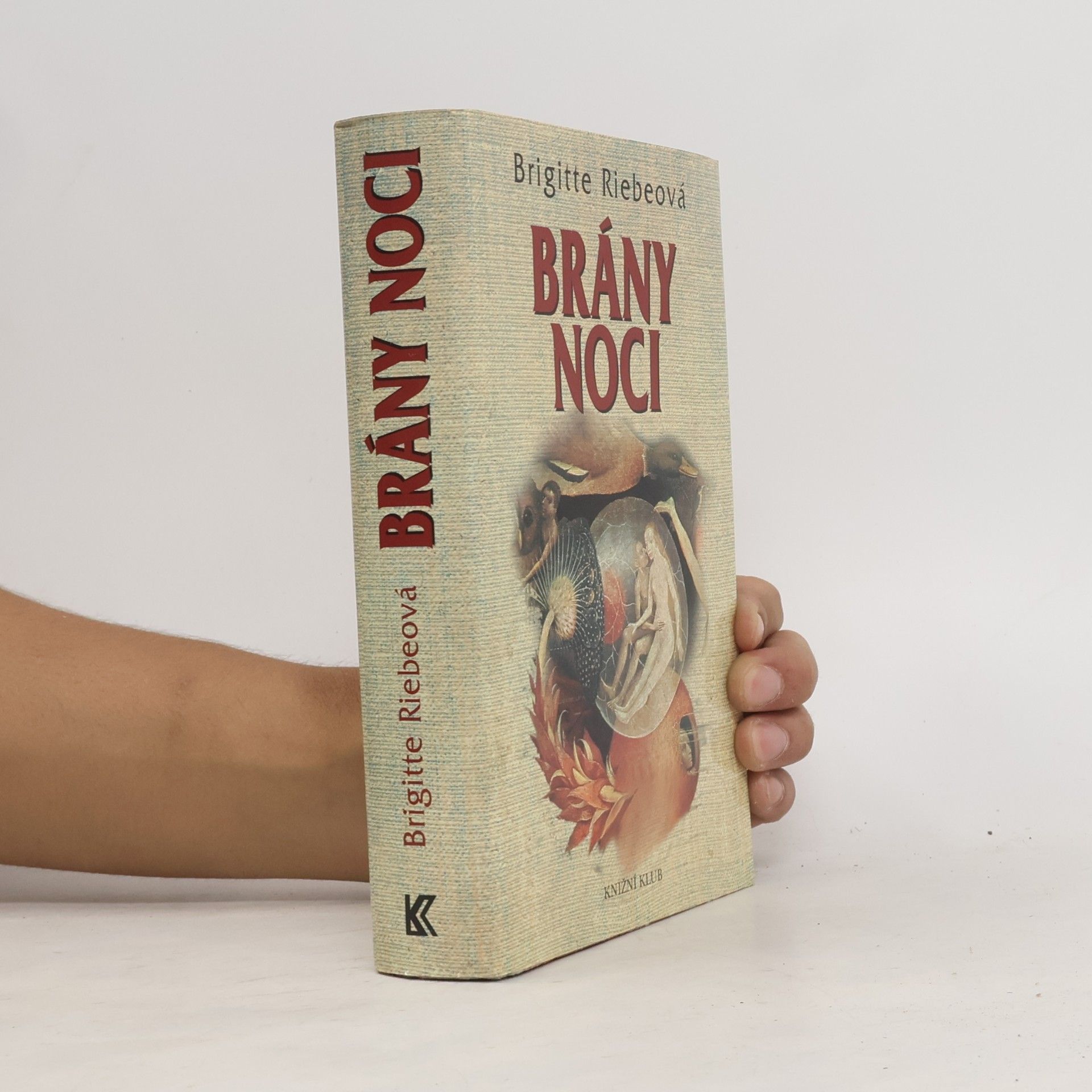 Brigitte Riebe Brány noci