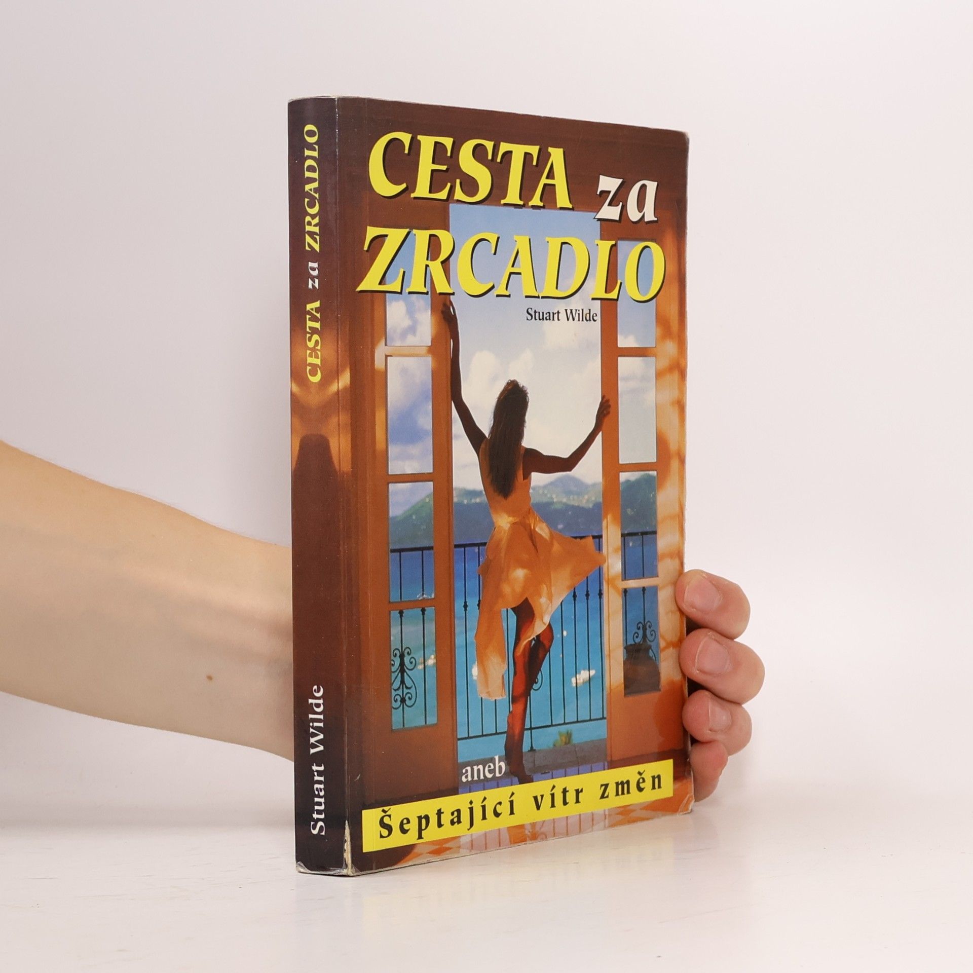 Stuart Wilde Cesta za zrcadlo