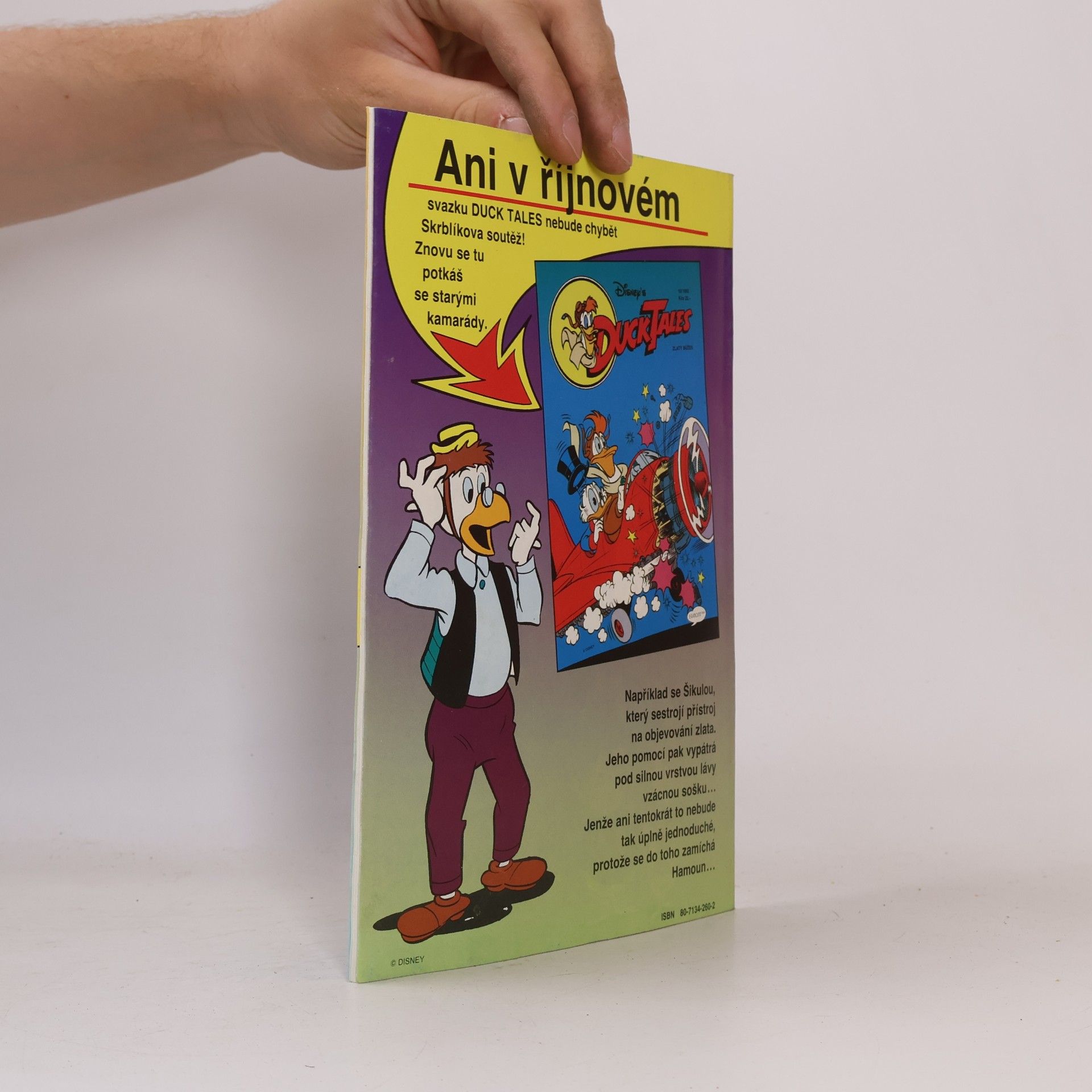 Autorenkollektiv Kde je rybka. Duck Tales