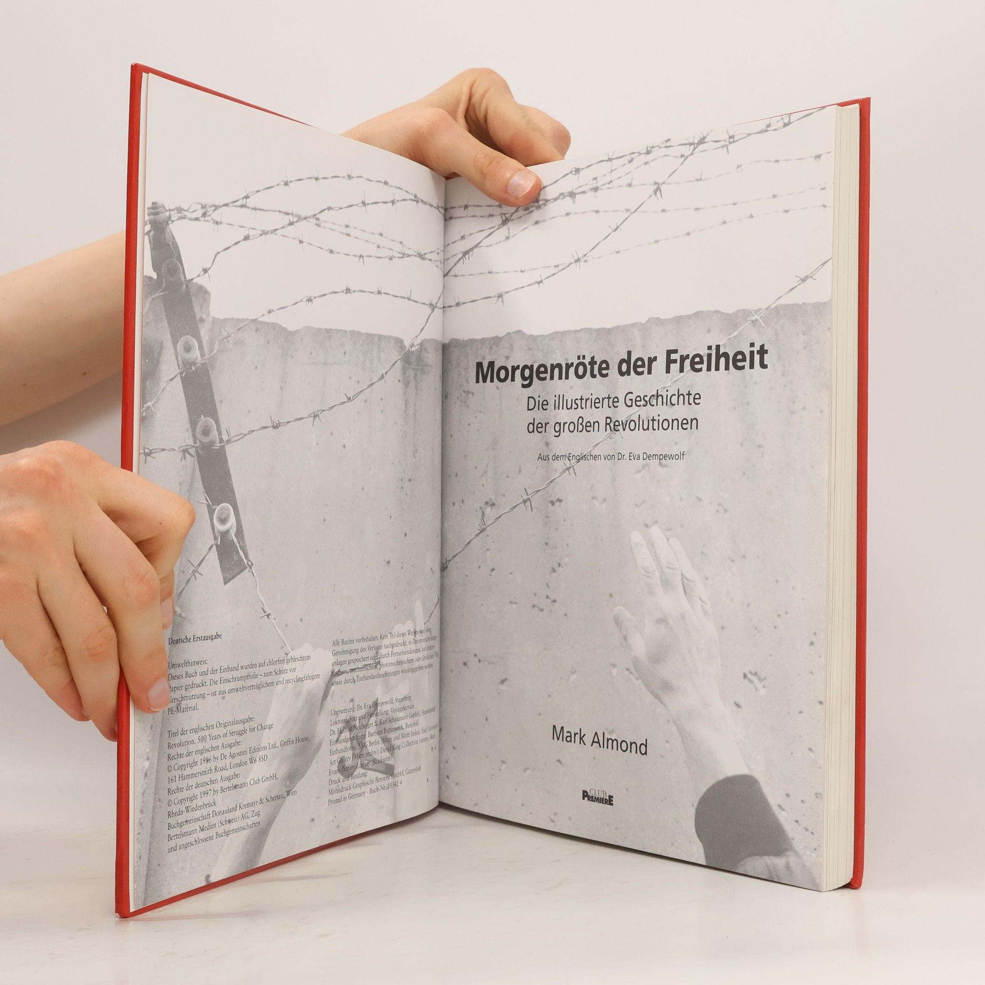 Mark Almond Morgenröte der Freiheit
