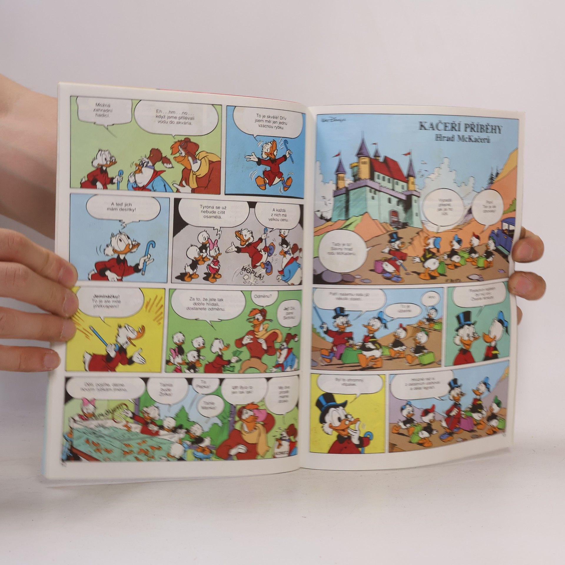 Autorenkollektiv Kde je rybka. Duck Tales