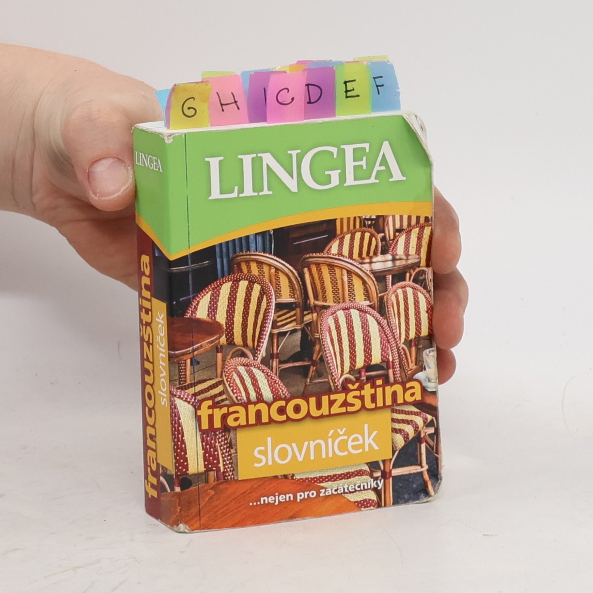 Kolektív autorov Francouzština : slovníček