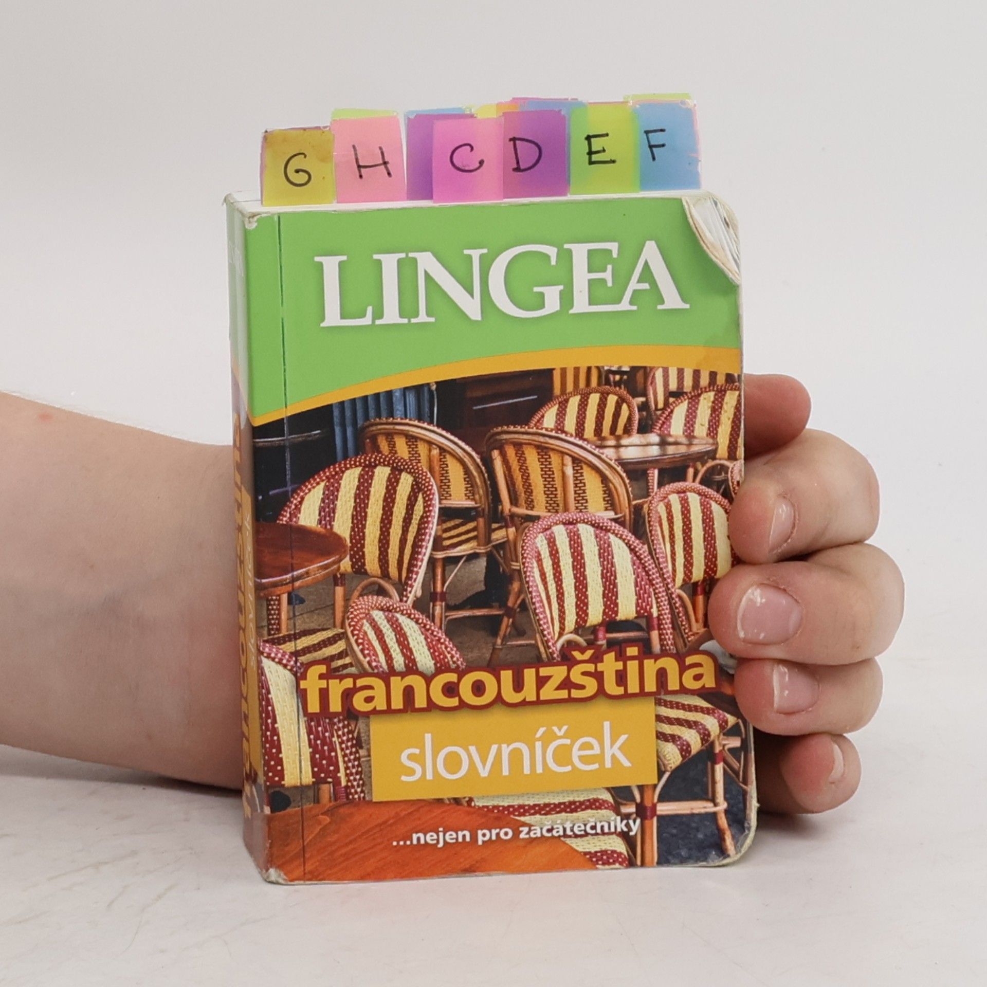 Kolektív autorov Francouzština : slovníček