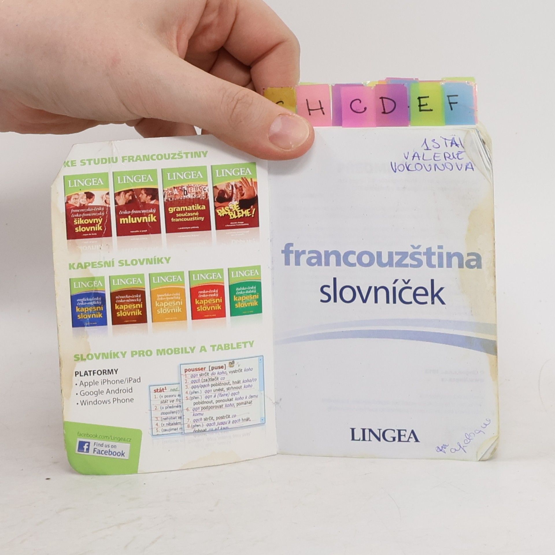 Kolektív autorov Francouzština : slovníček