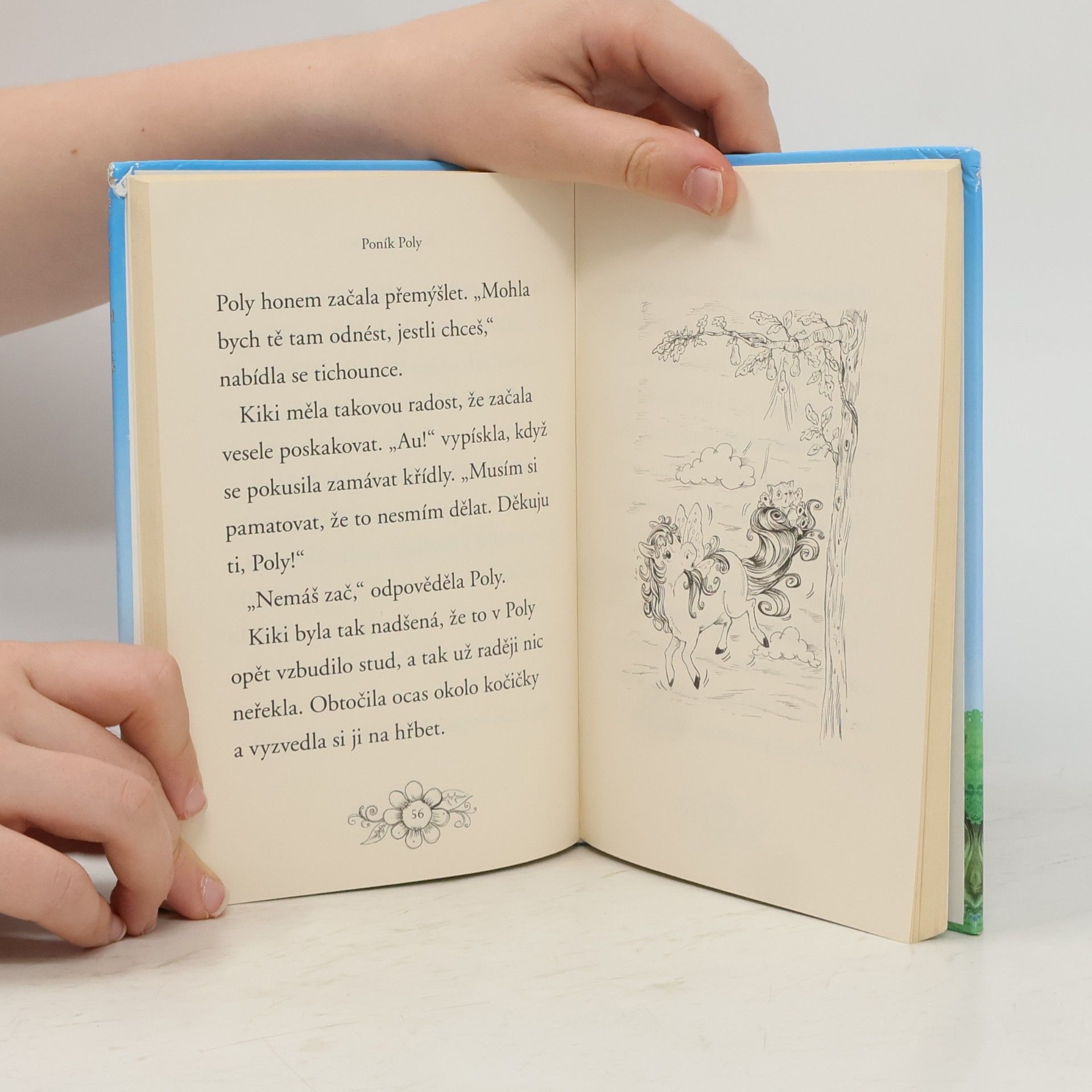 Lily Small Zvířátka z Kouzelného lesa. Poník Poly