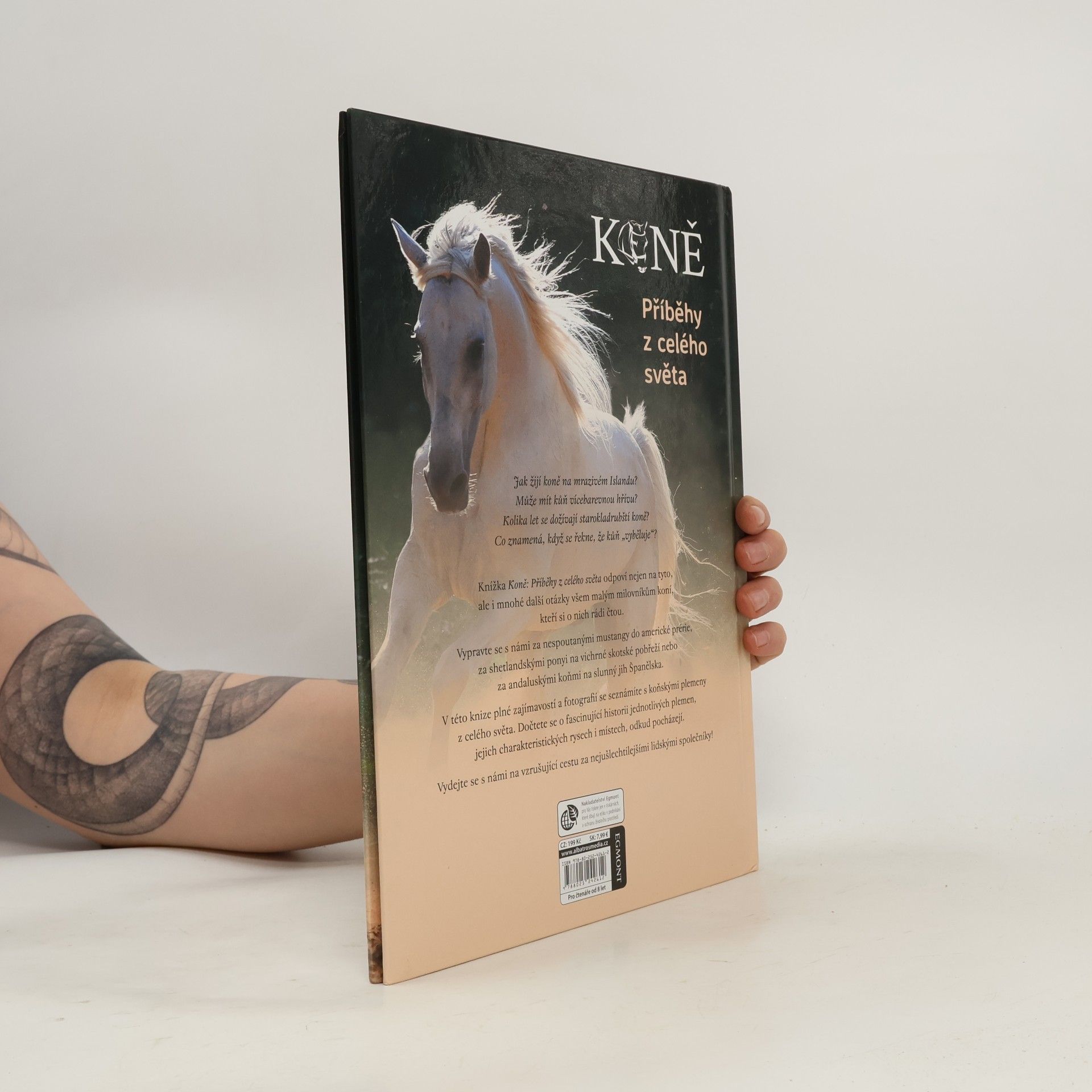Various authors Koně: příběhy z celého světa
