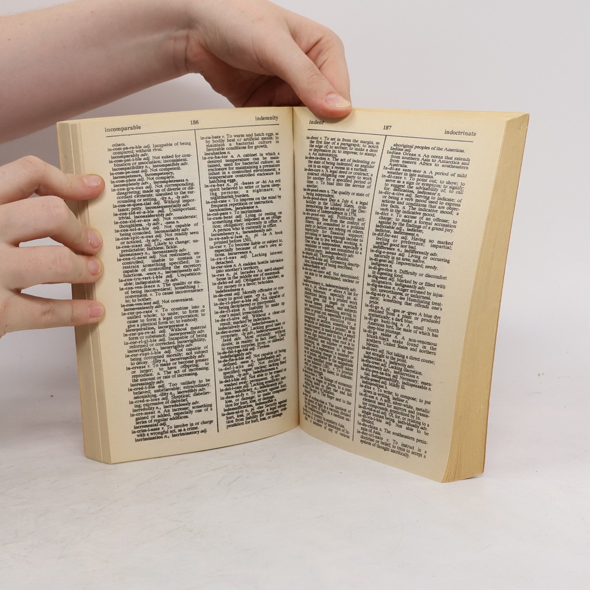 Autorenkollektiv Webster's Dictionary