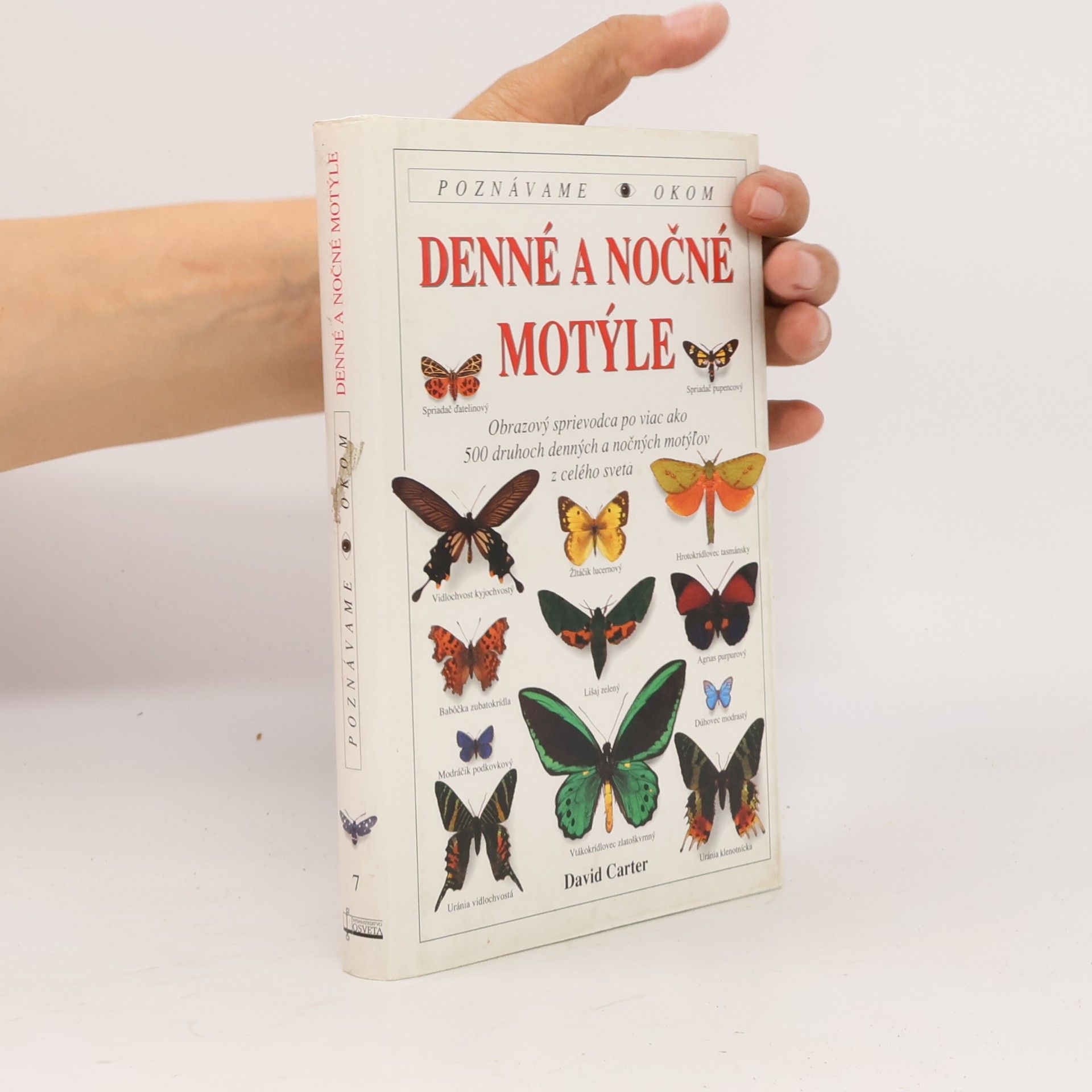 Denné a nočné motýle