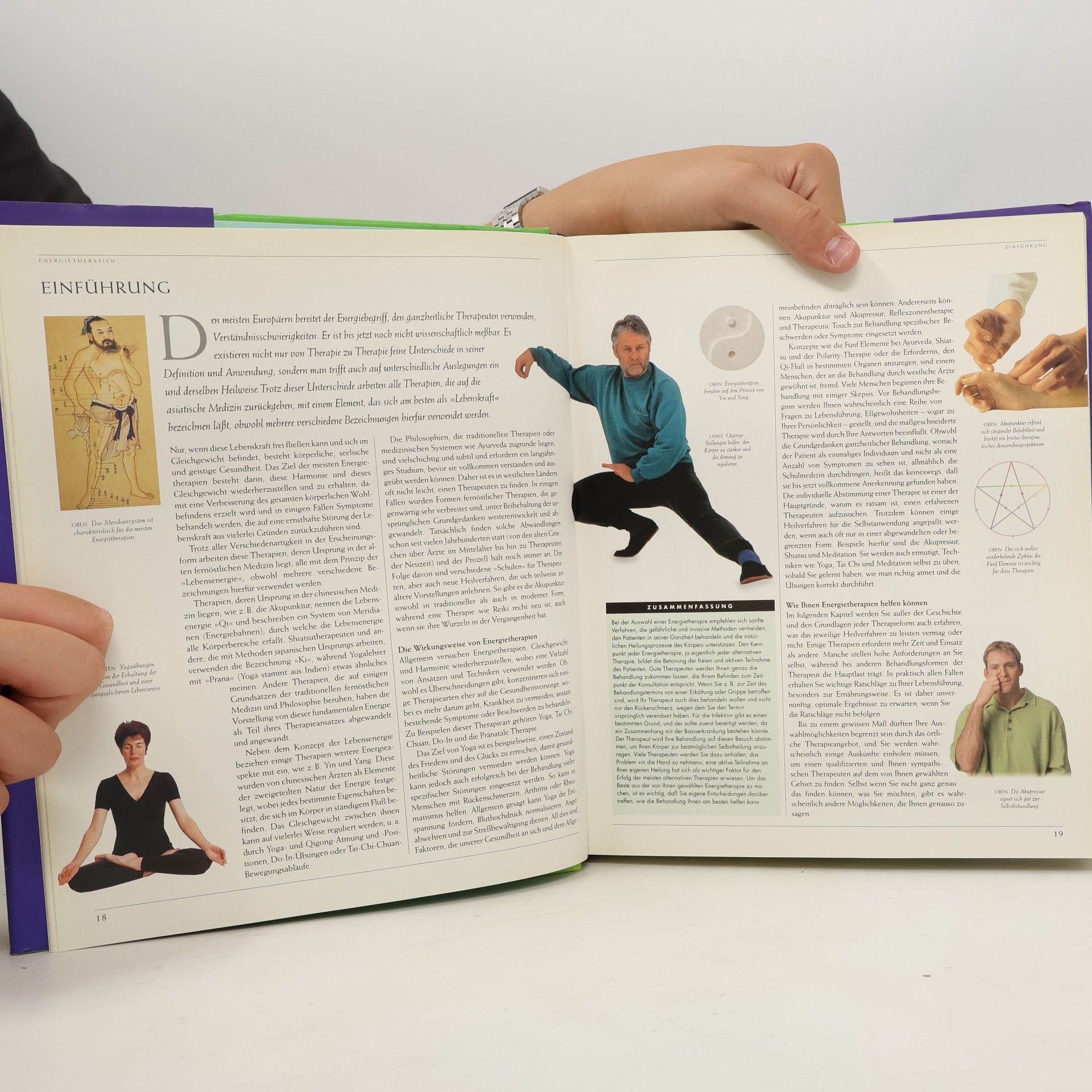 Clyde Norman Shealy Das große Buch der alternativen Heilverfahren
