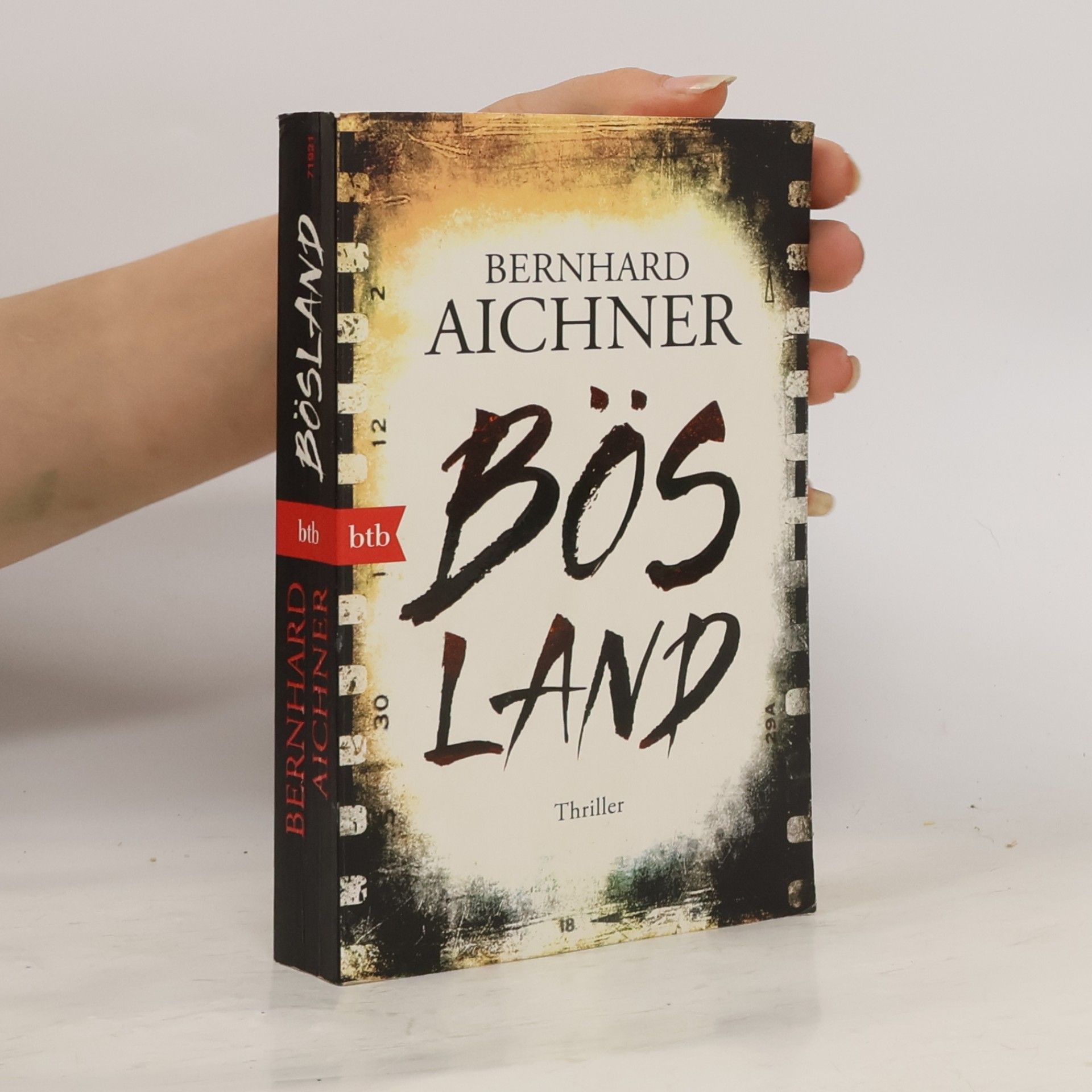 Bernhard Aichner Bösland