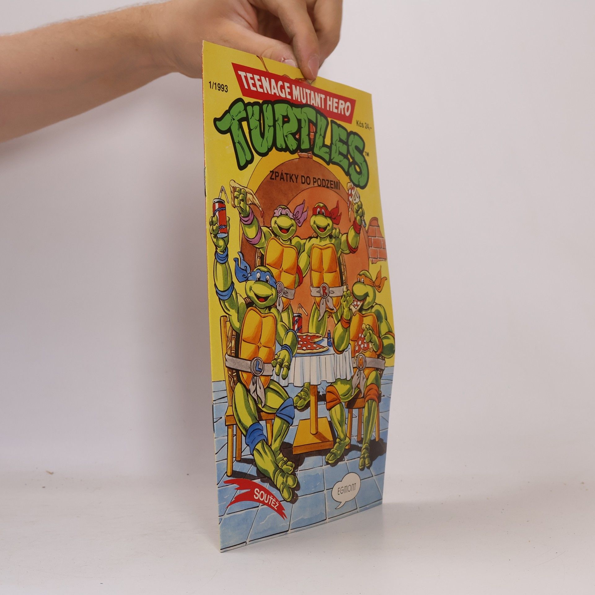 Dean Clarrain Teenage Mutant Hero Turtles #13