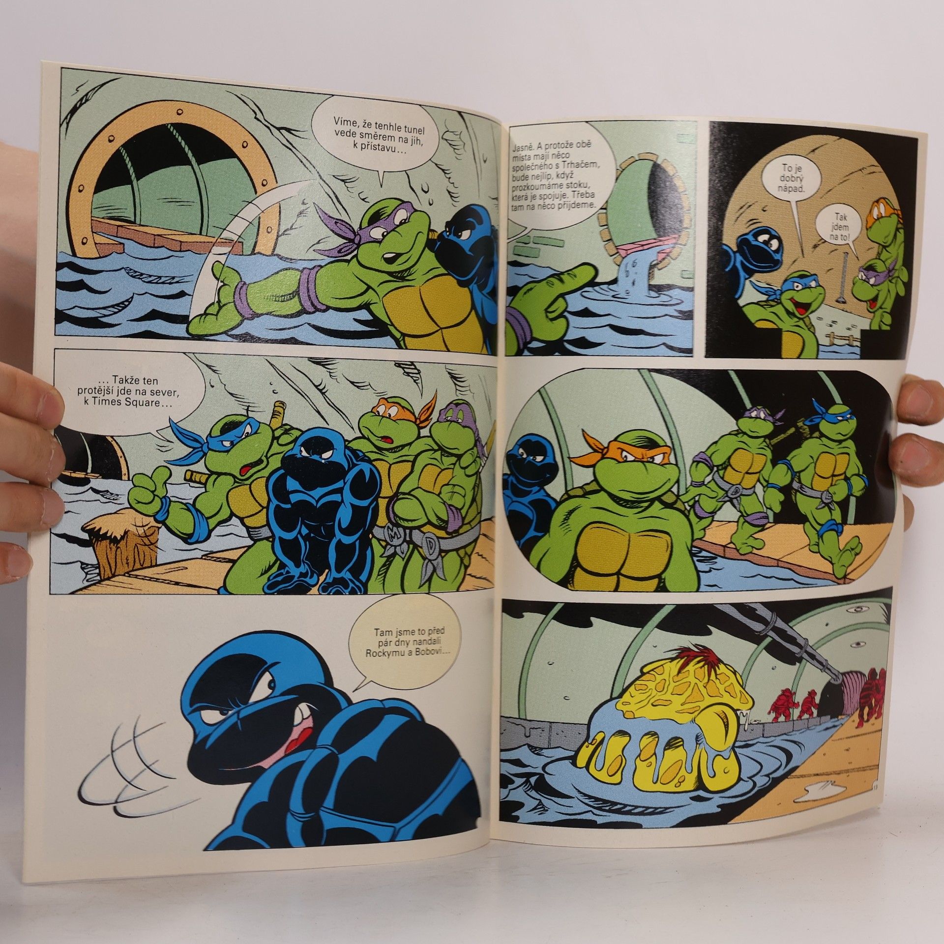 Dean Clarrain Teenage Mutant Hero Turtles #13