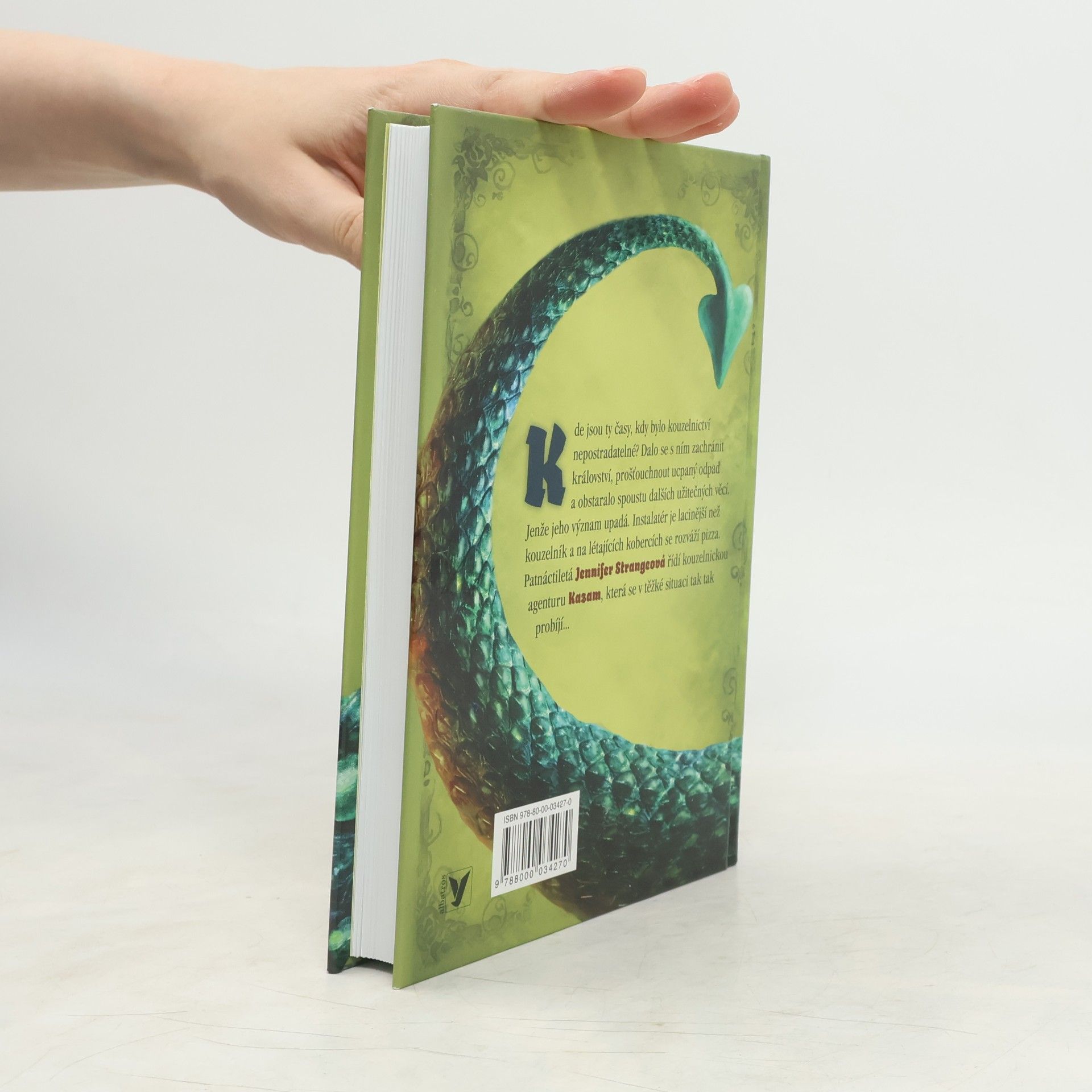 Jasper Fforde Kronika Jennifer Strangeové. Kniha první, Poslední drakobijce