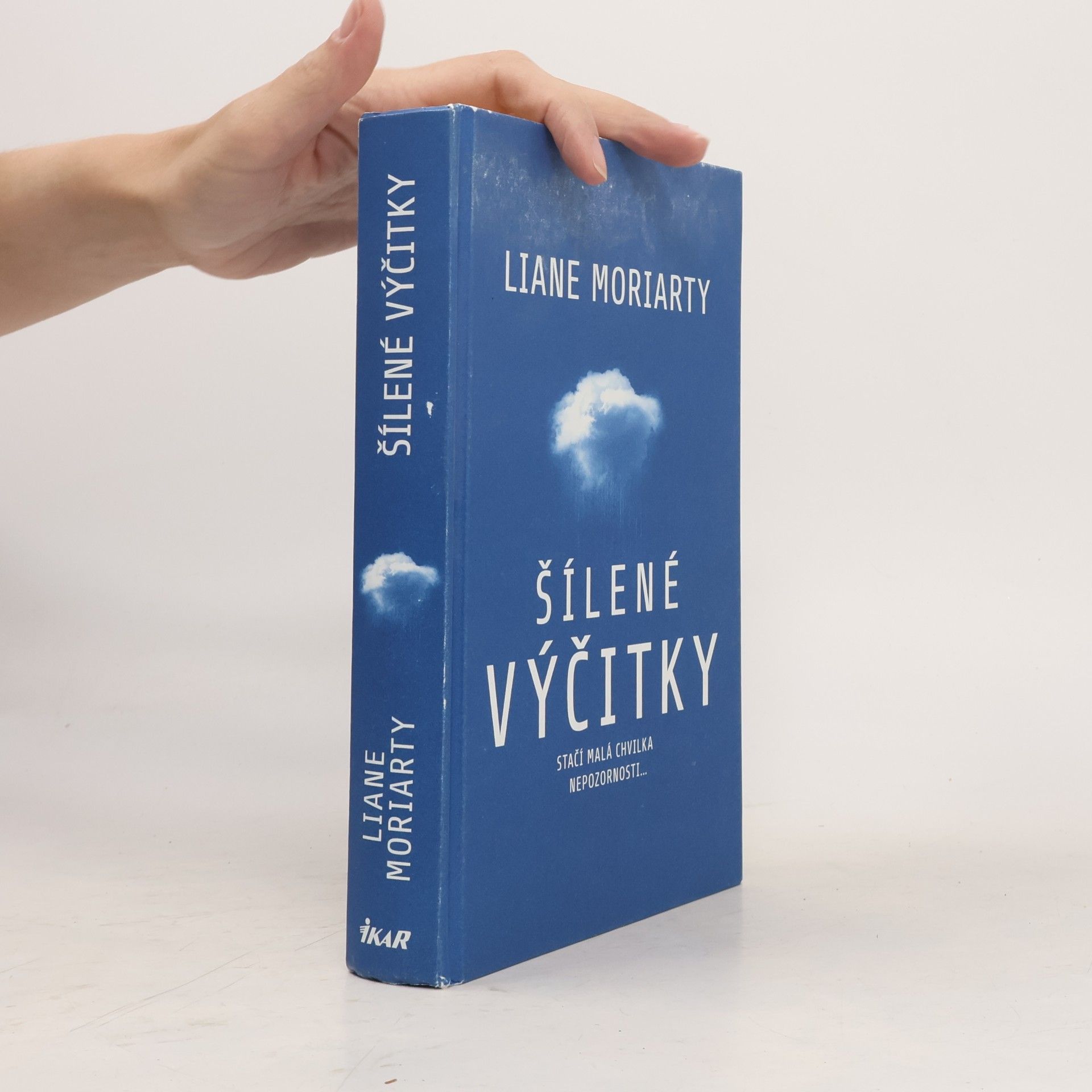 Liane Moriarty Šílené výčitky