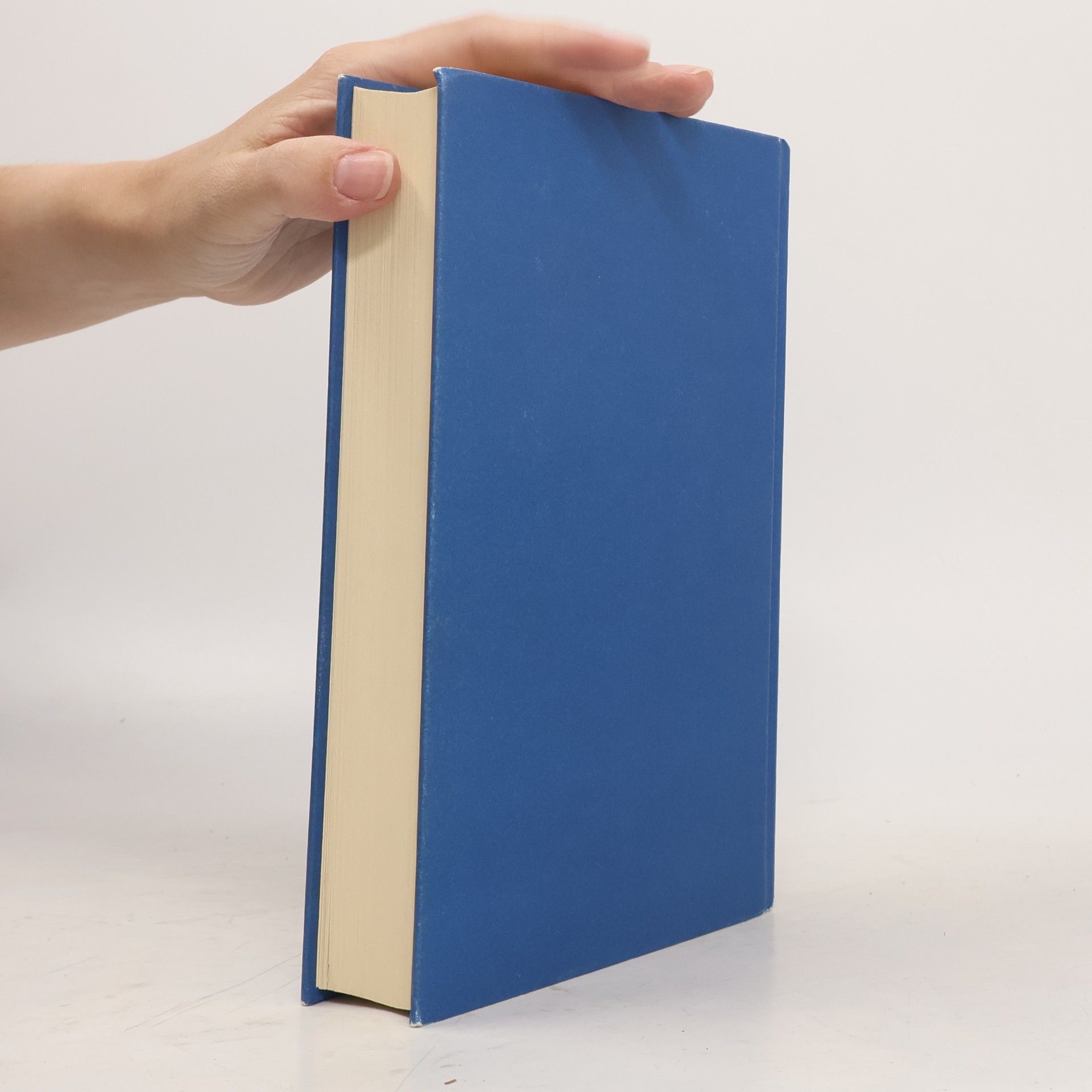 Liane Moriarty Šílené výčitky