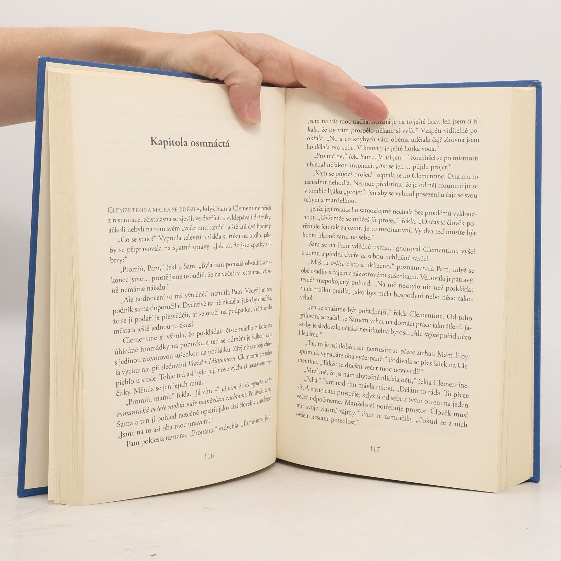 Liane Moriarty Šílené výčitky