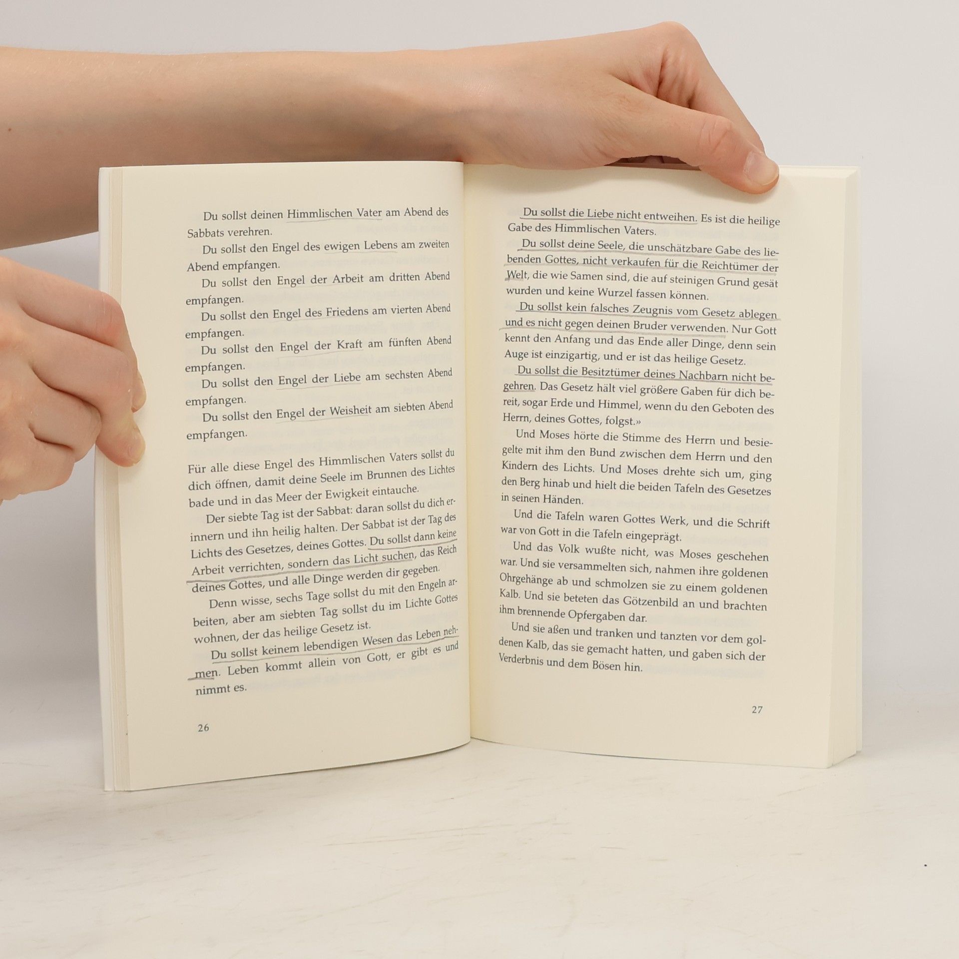 Edmund Bordeaux Szekely Die unbekannten Schriften der Essener