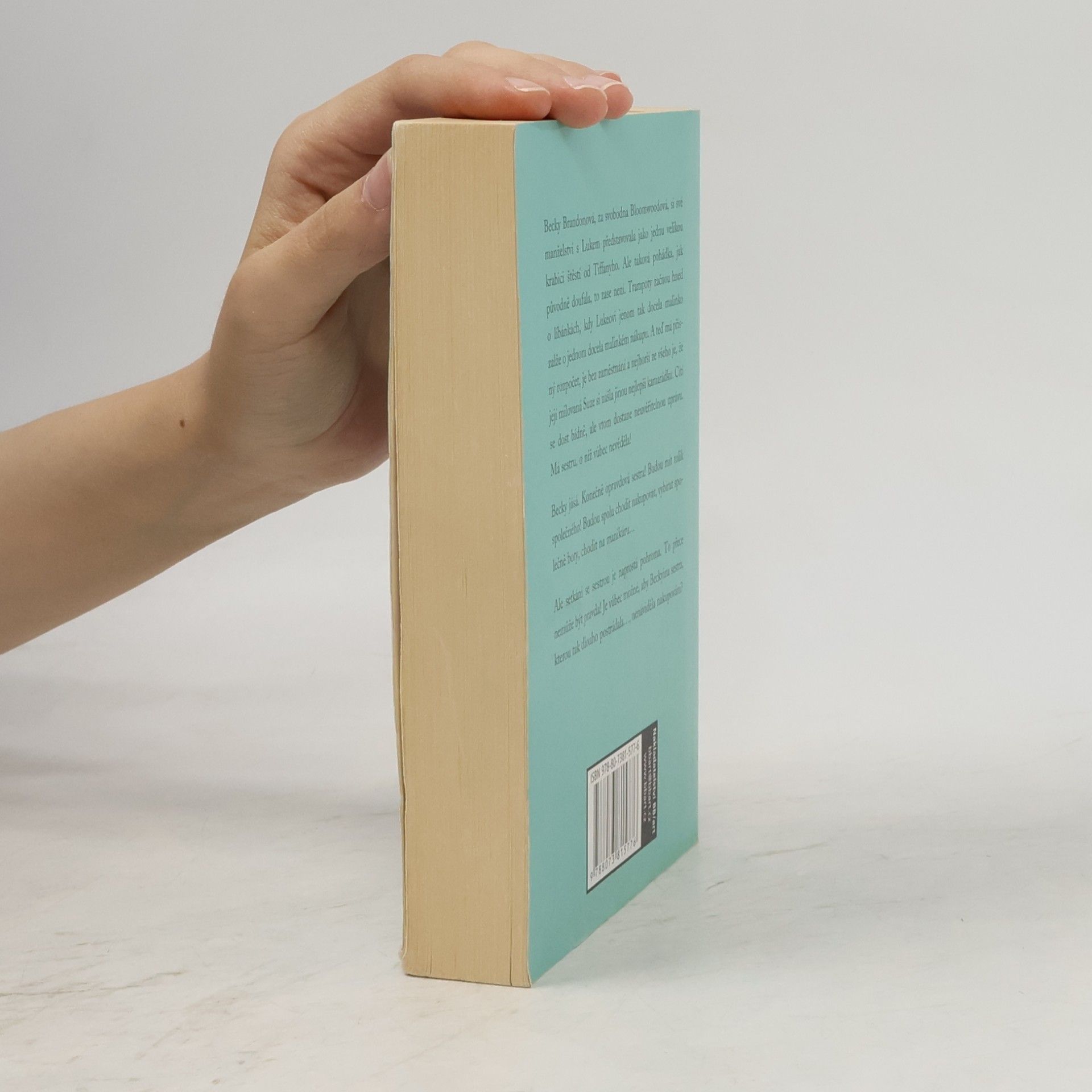 Sophie Kinsella Báječné nakupování se sestrou