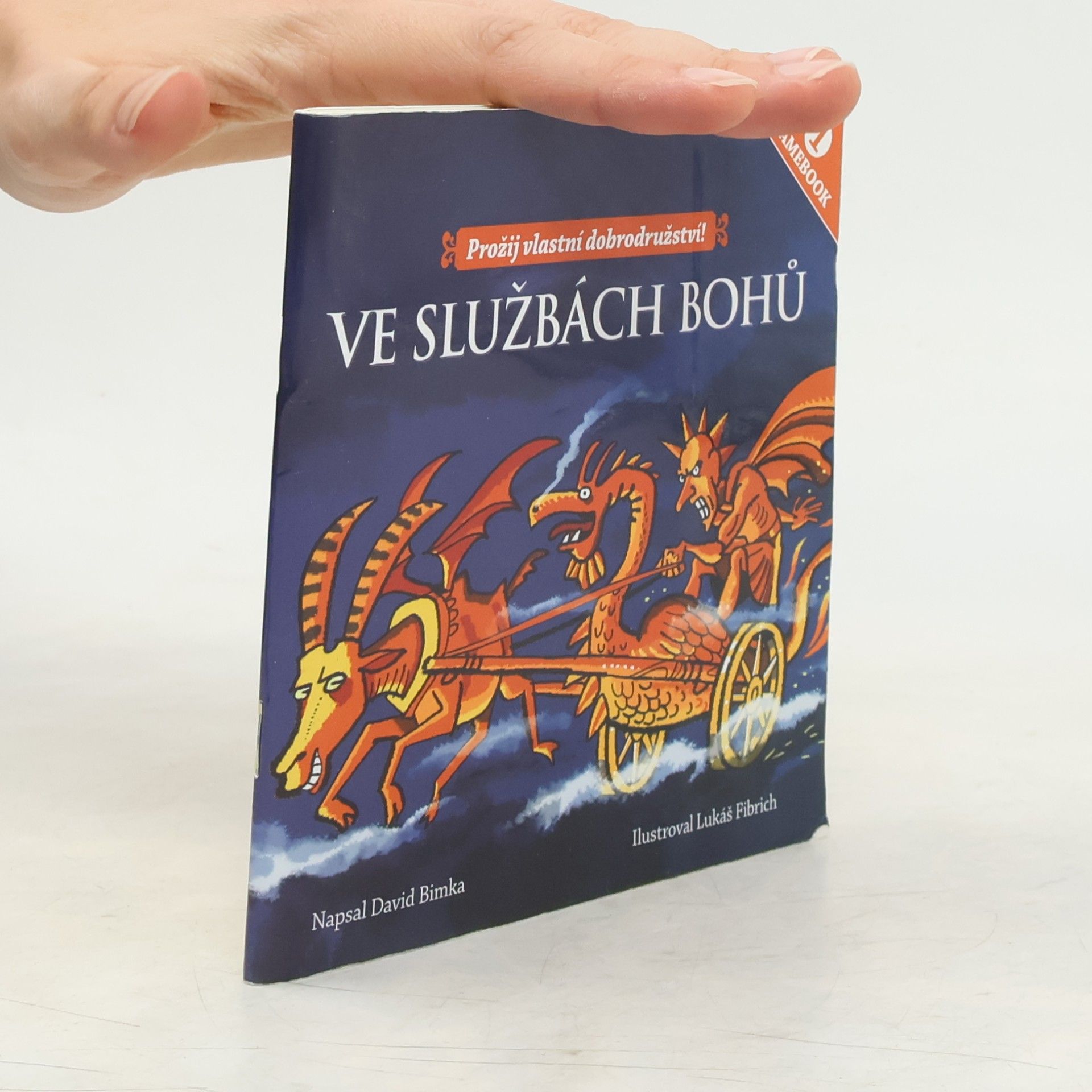 David Bimka Ve službách bohů