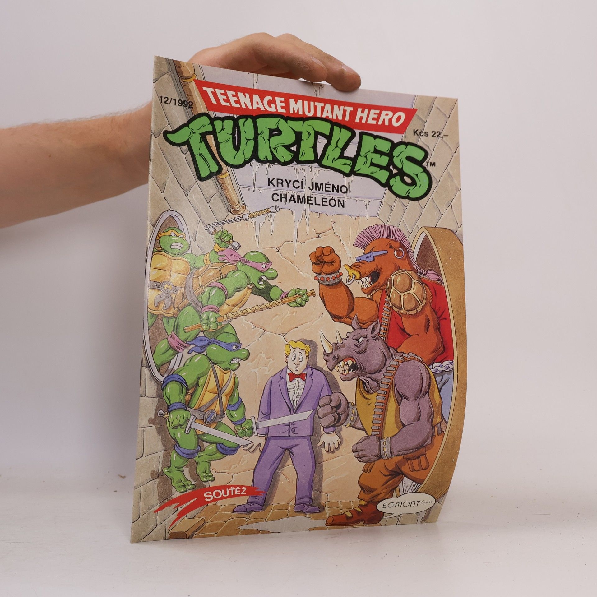 Dean Clarrain Teenage Mutant Hero Turtles #12